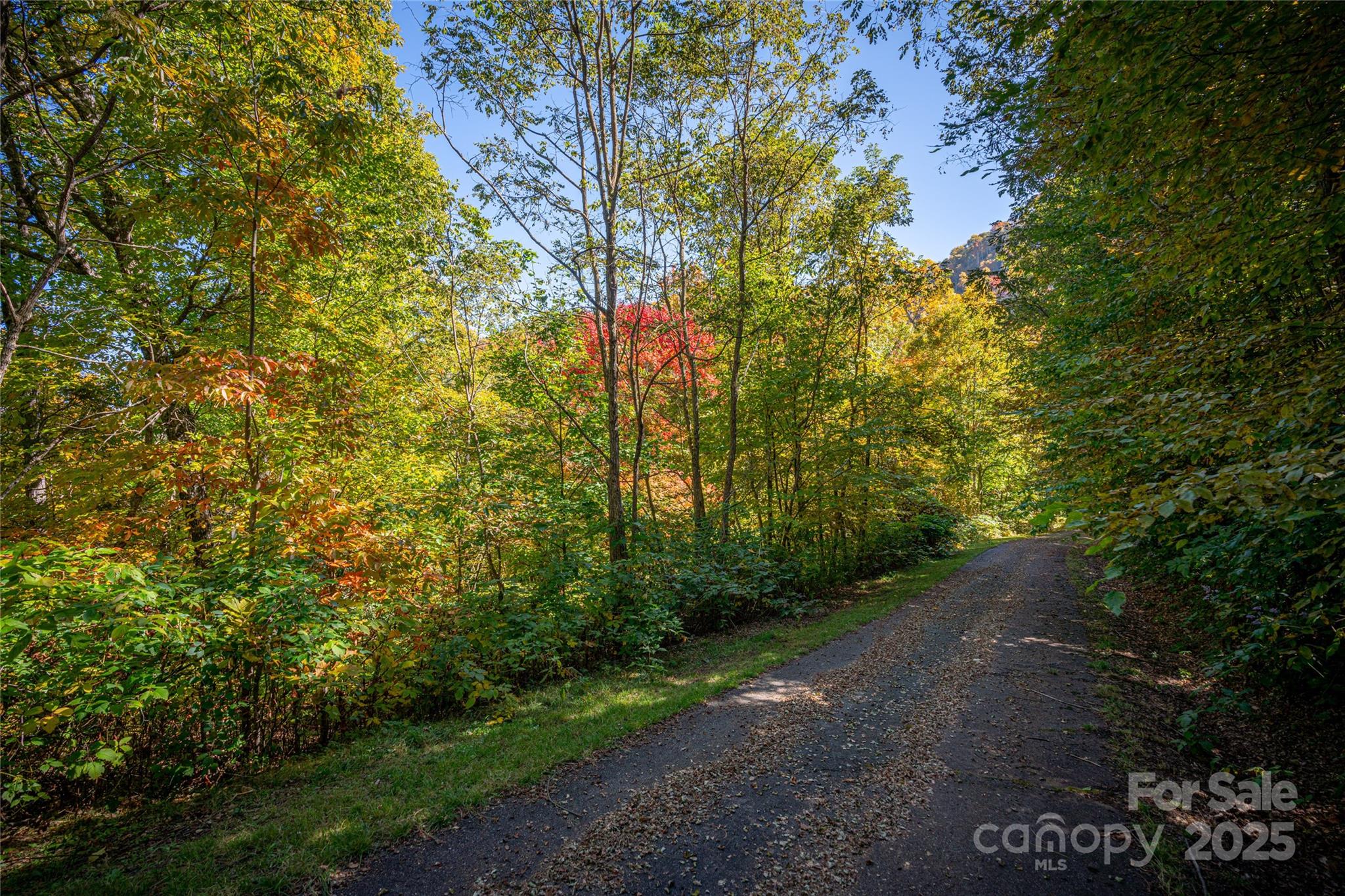 Upper Woodlands - Land