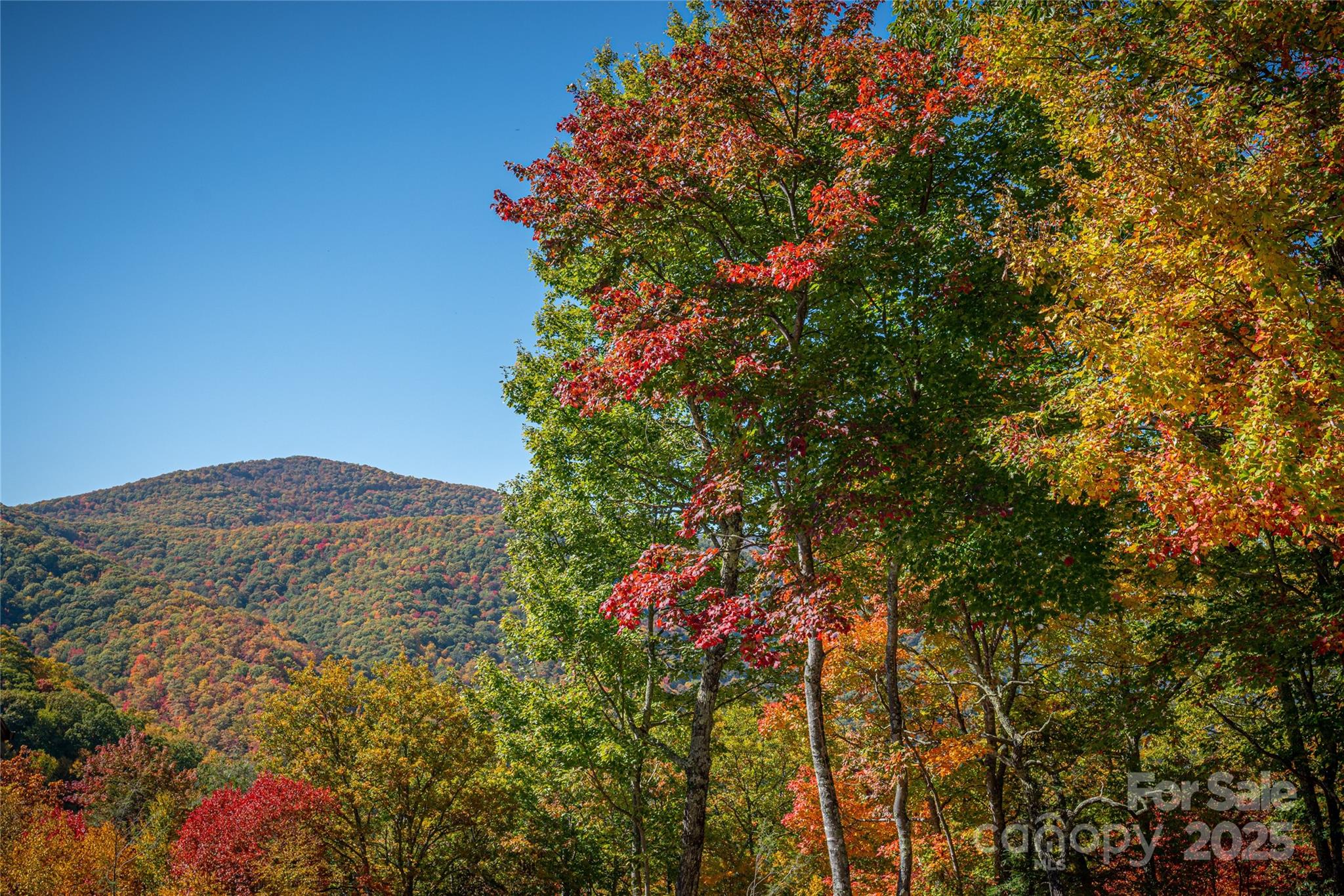 Upper Woodlands - Land
