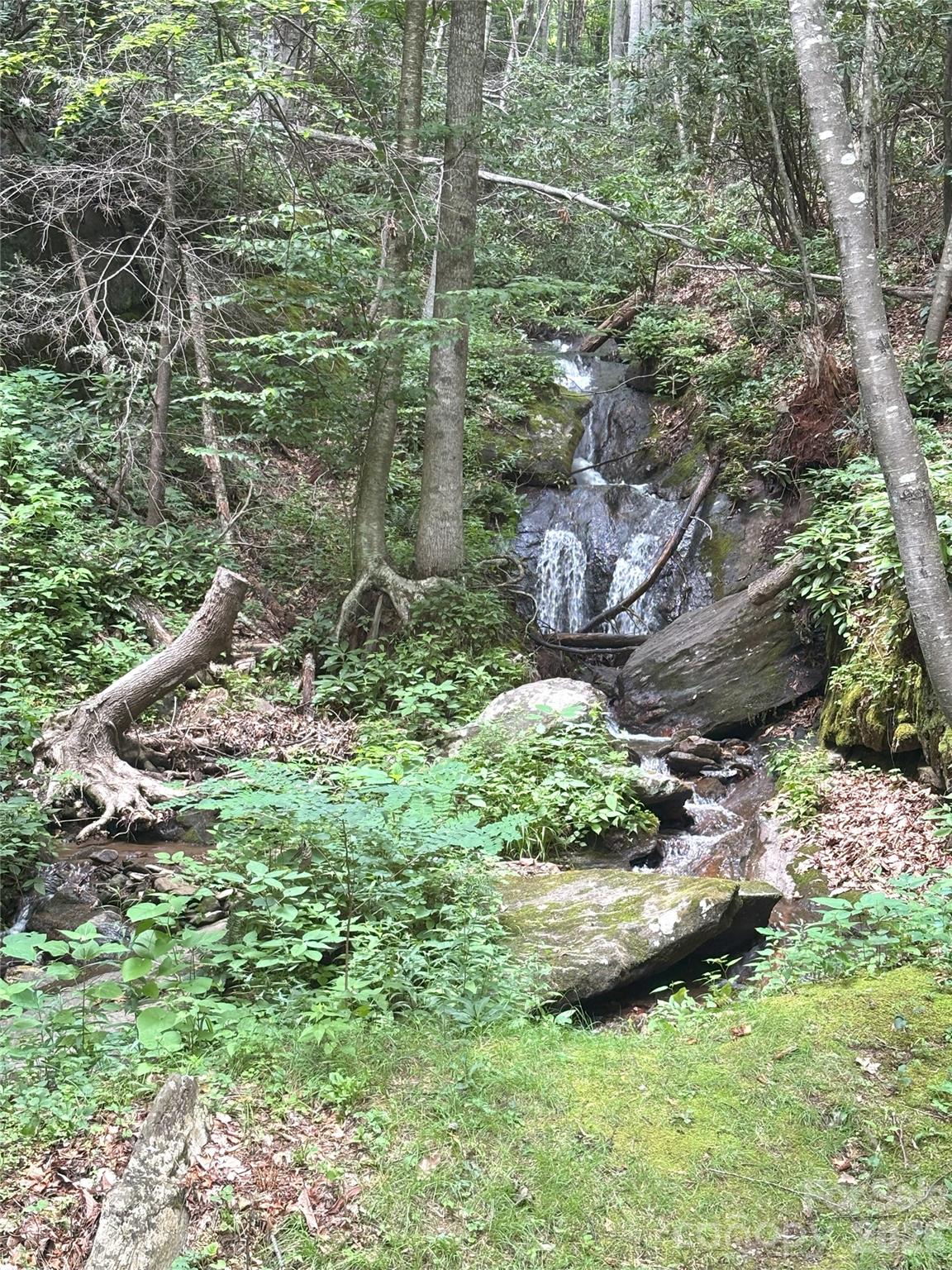 Big Springs Cove Estates - Land