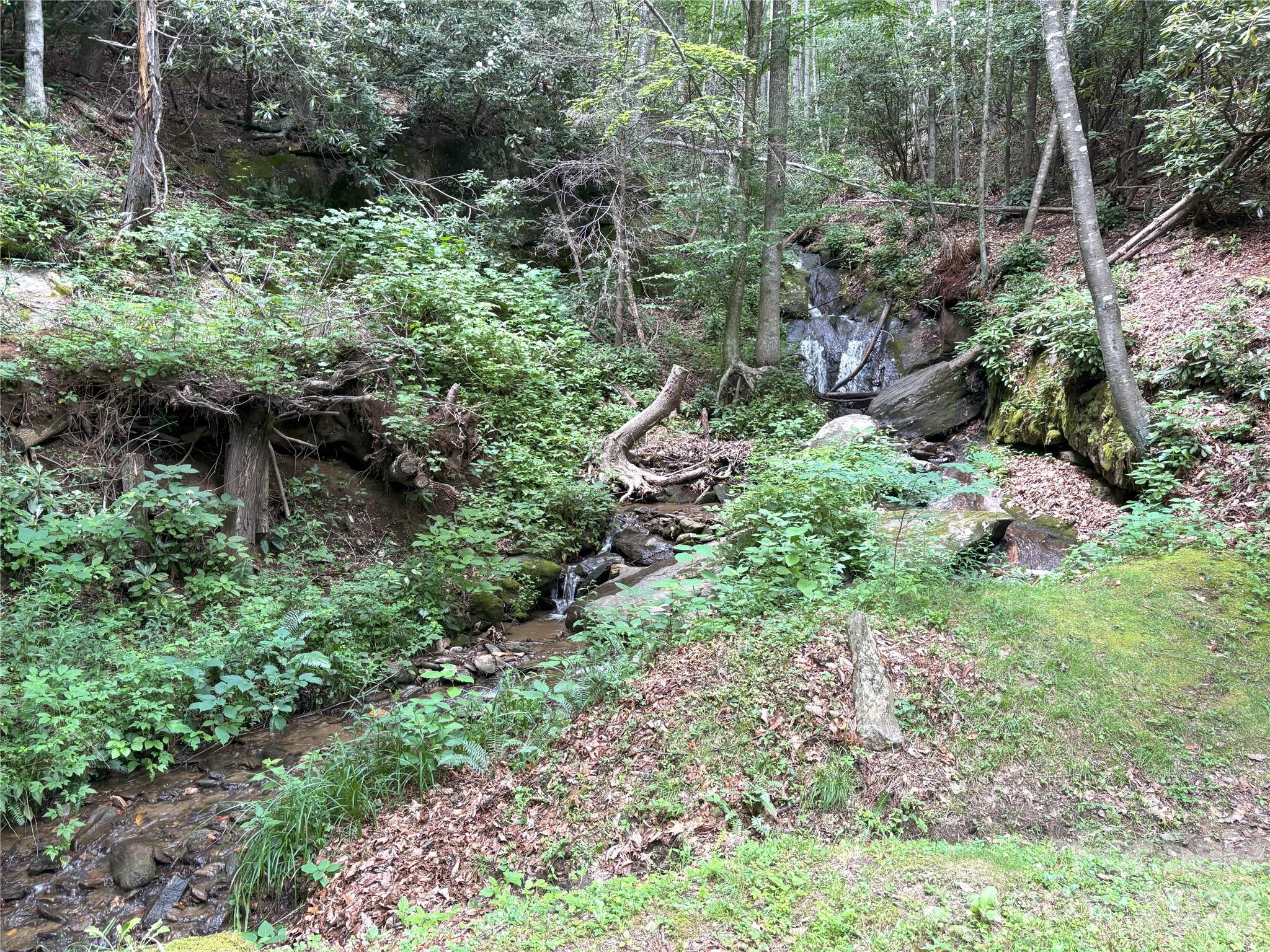 Big Springs Cove Estates - Land