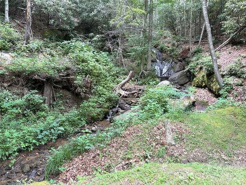 000 Valley View Drive 14 Maggie Valley NC 28751