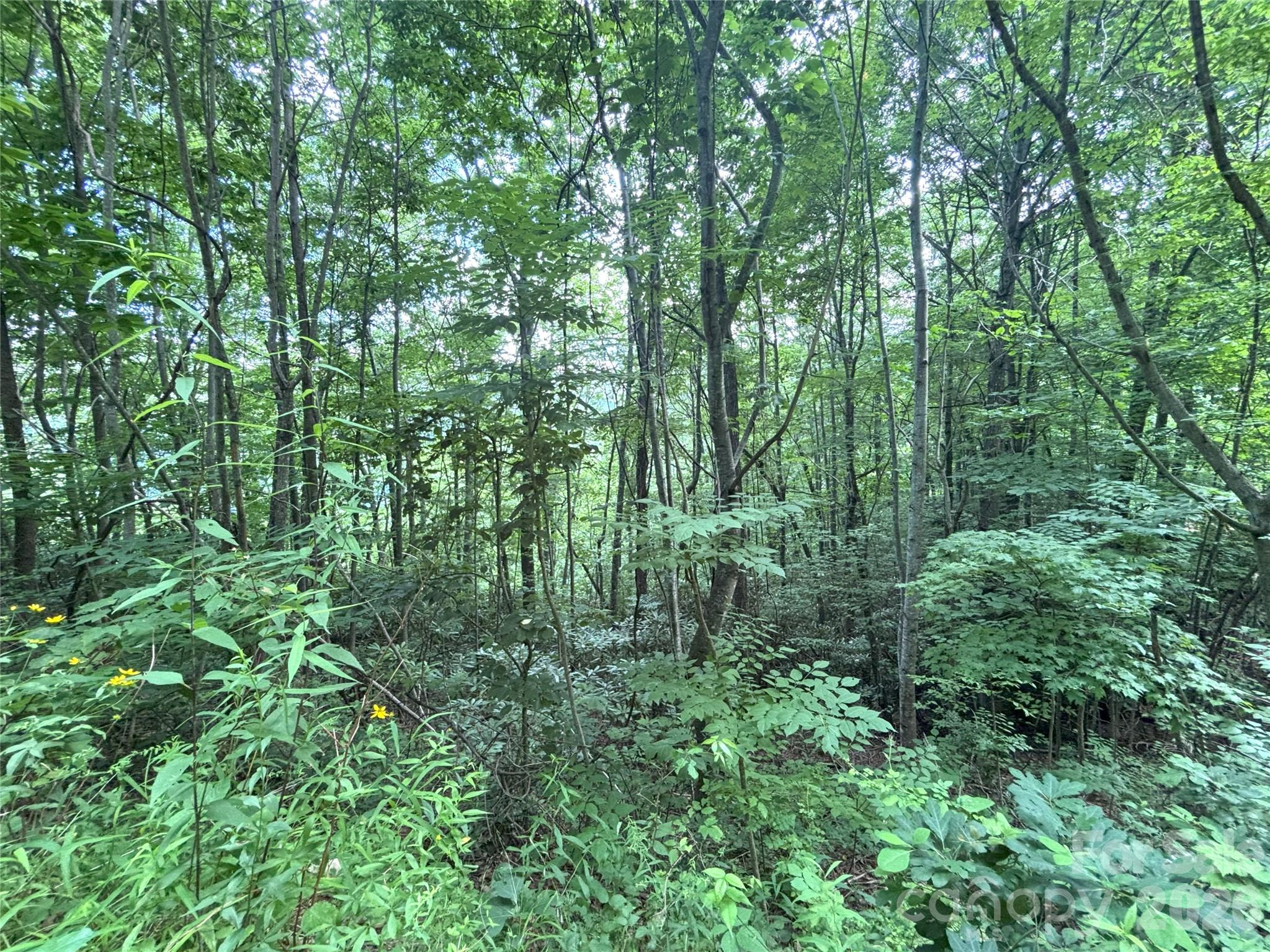 Big Springs Cove Estates - Land