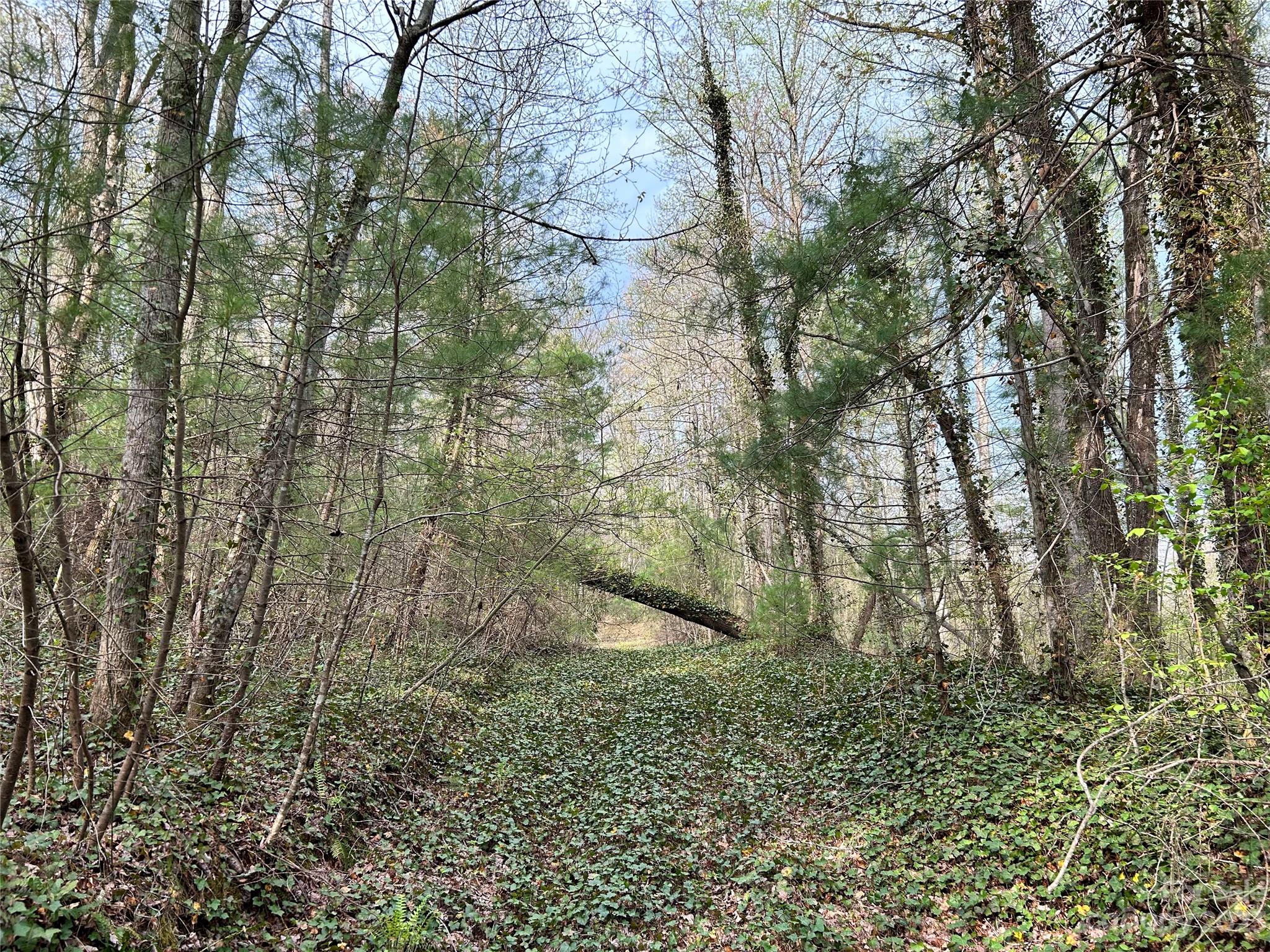 Mountain Vista - Land