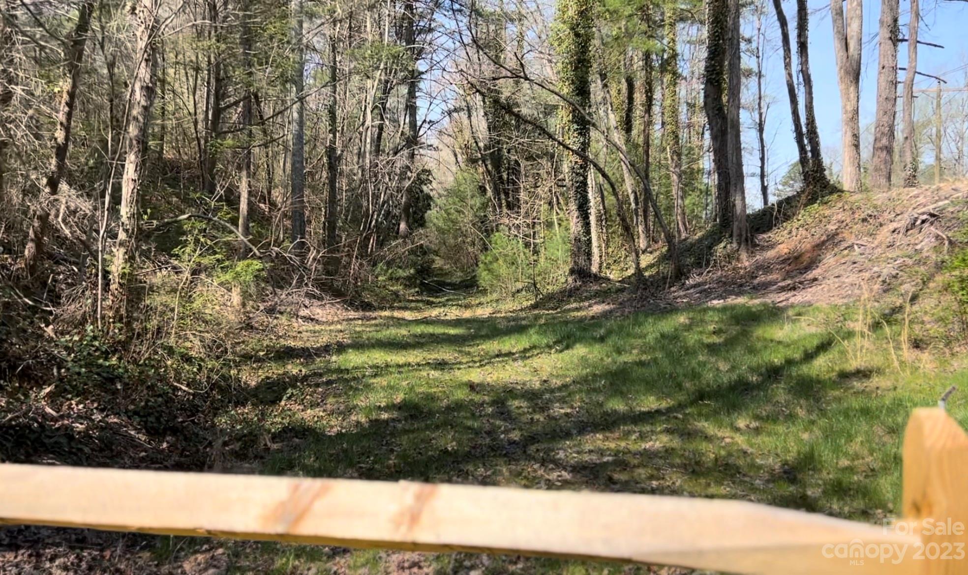 Mountain Vista - Land