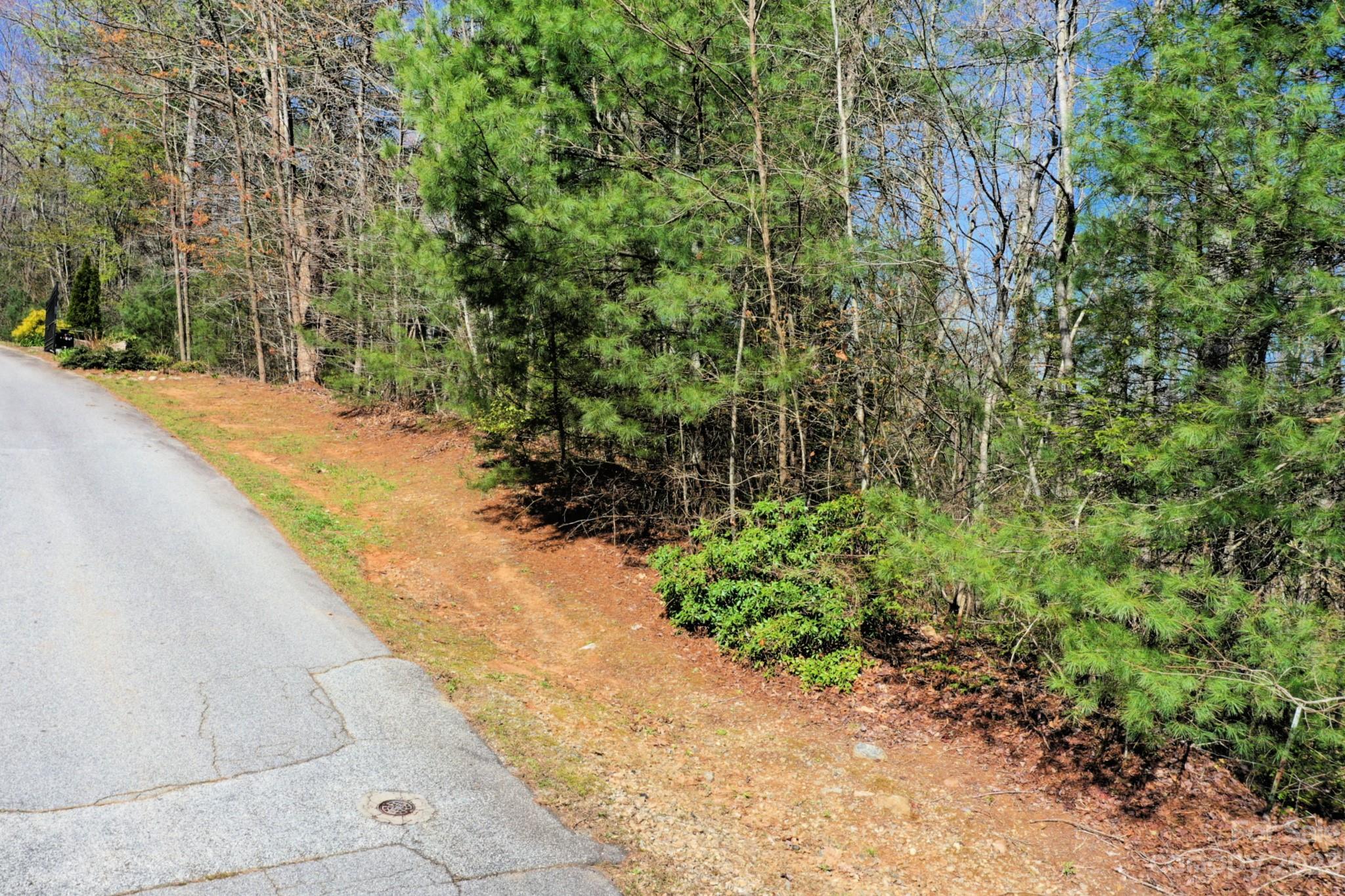 Mountain Vista - Land