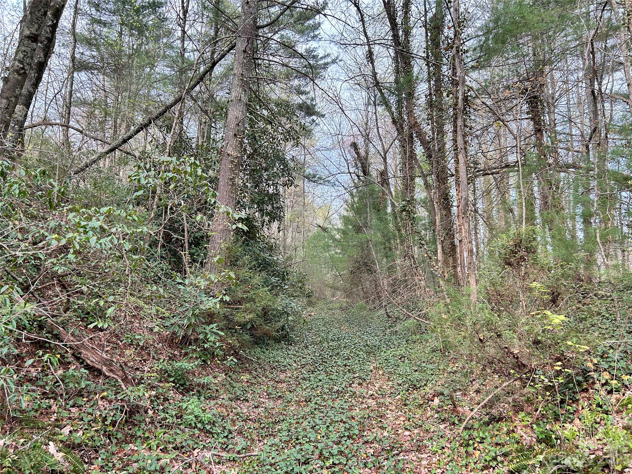 Mountain Vista - Land