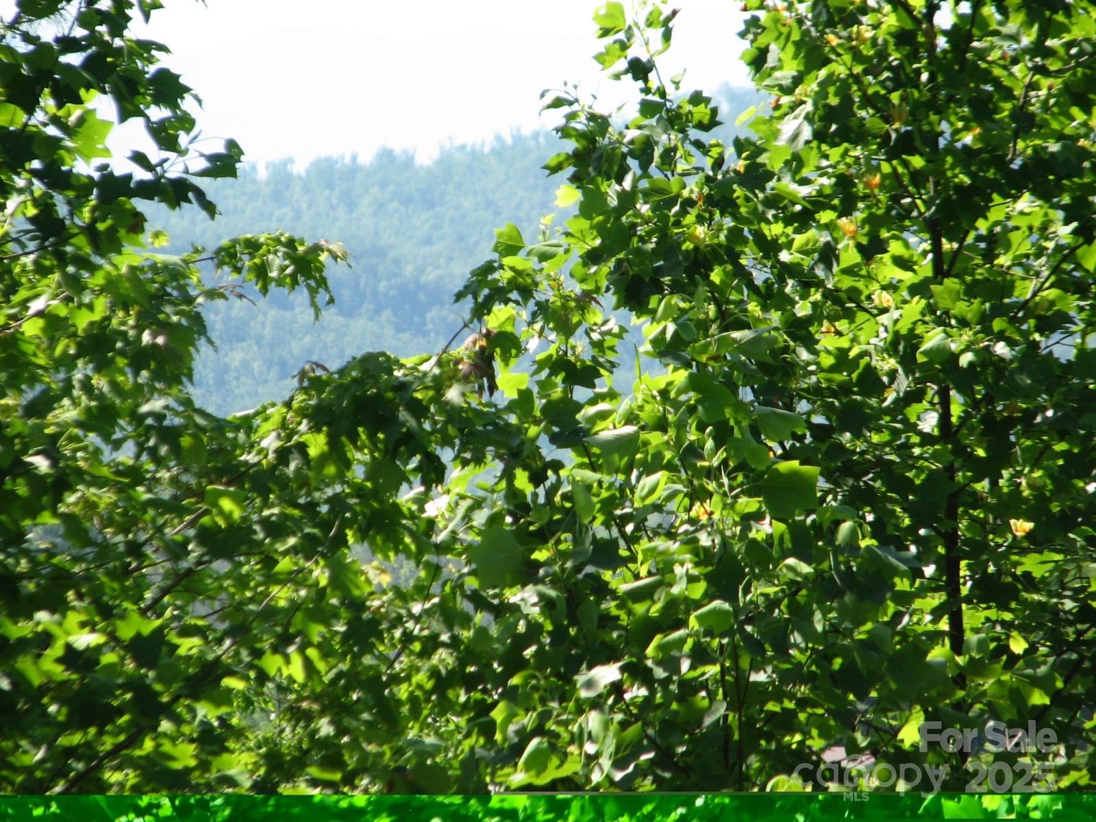 0000 Double Eagle Drive 25