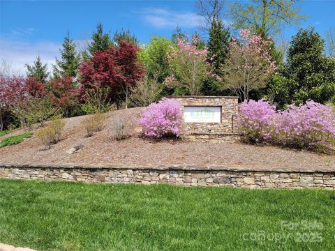 11 Franklin Trace Drive 15 Asheville NC 28804