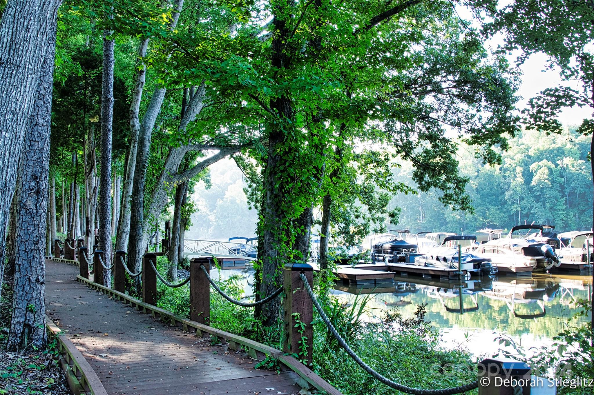 The Vineyards on Lake Wylie - Residential