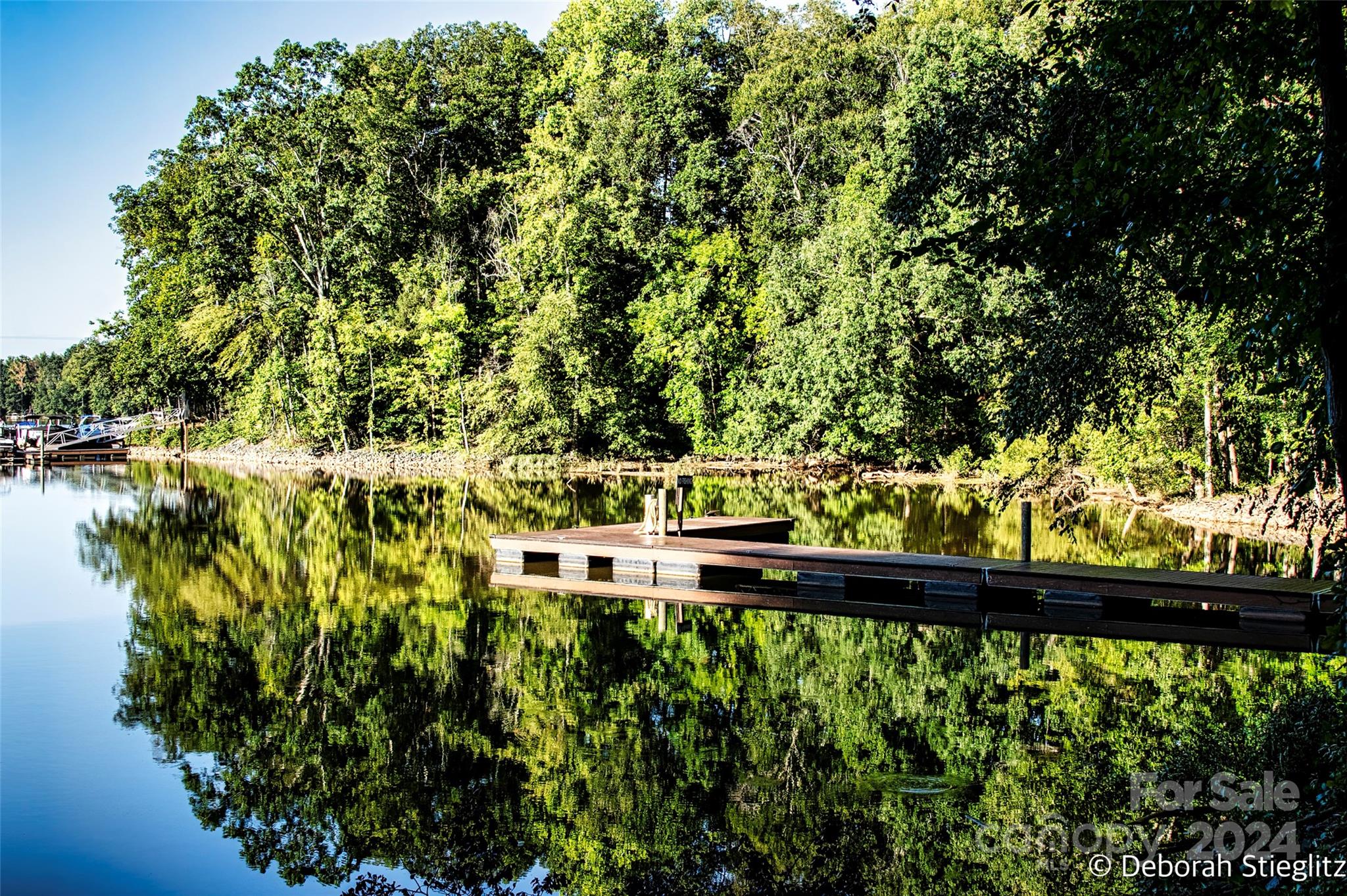 The Vineyards on Lake Wylie - Residential