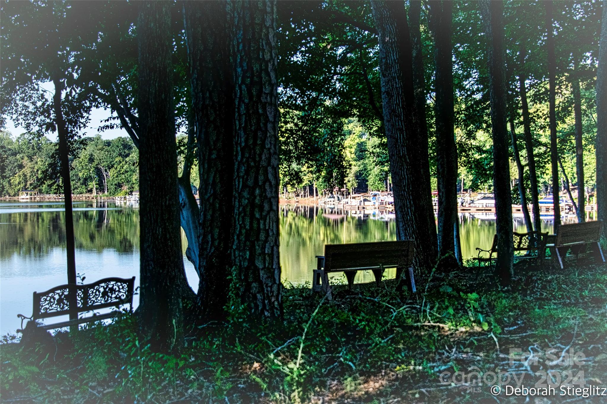 The Vineyards on Lake Wylie - Residential