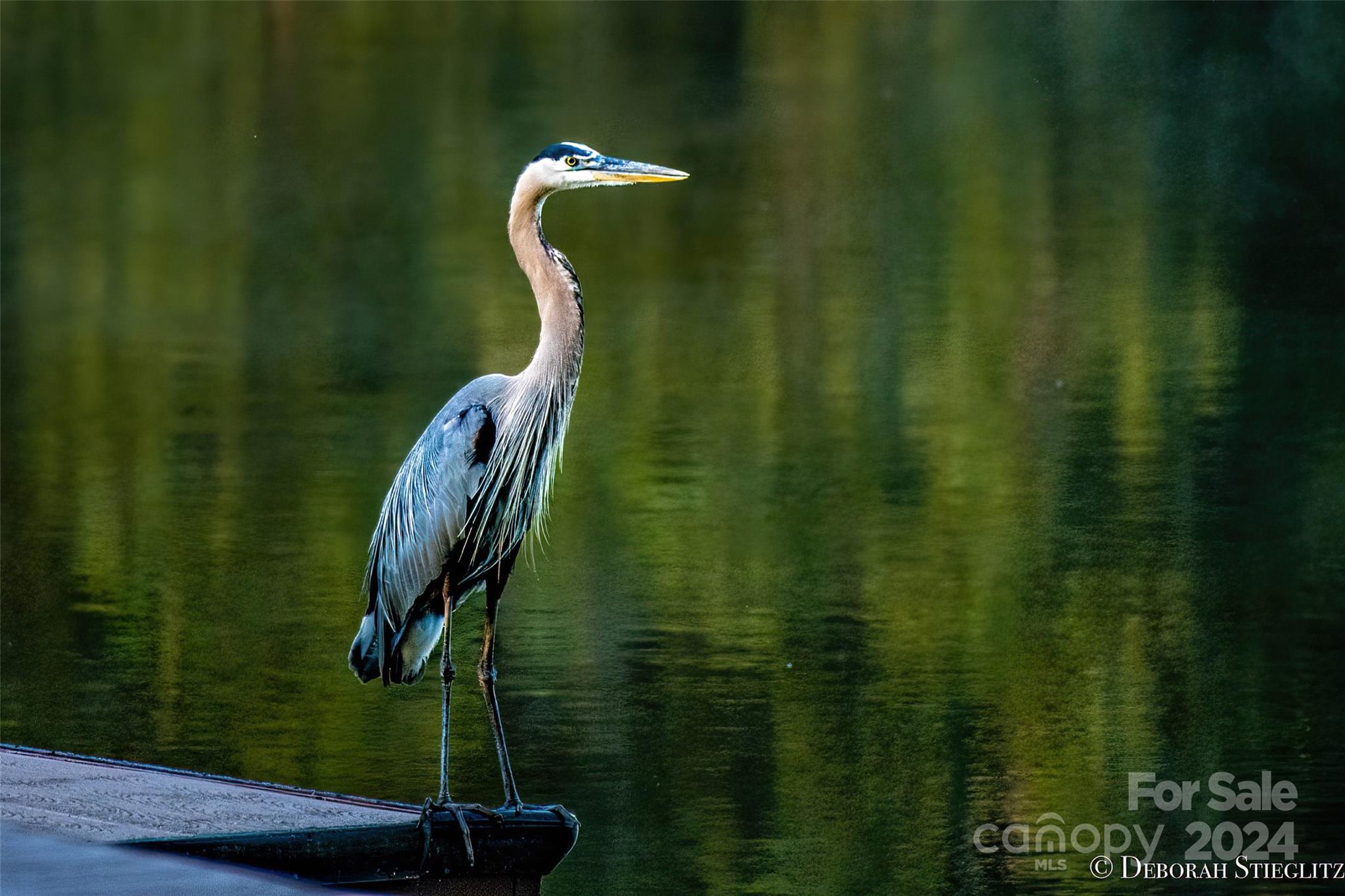 The Vineyards on Lake Wylie - Residential