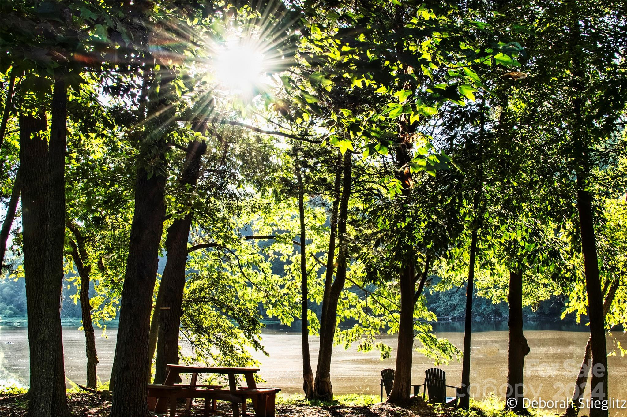 The Vineyards on Lake Wylie - Residential