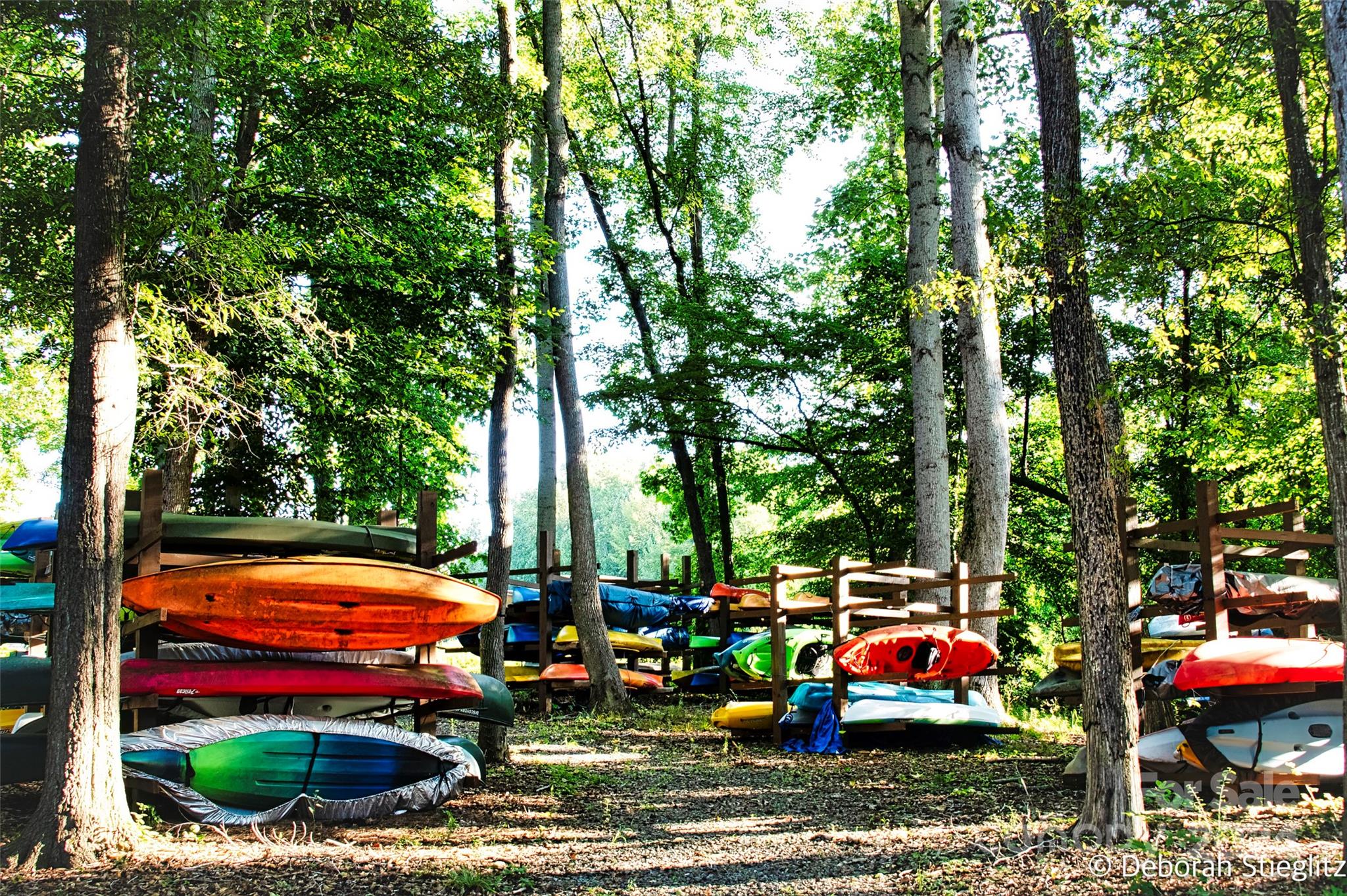 The Vineyards on Lake Wylie - Residential