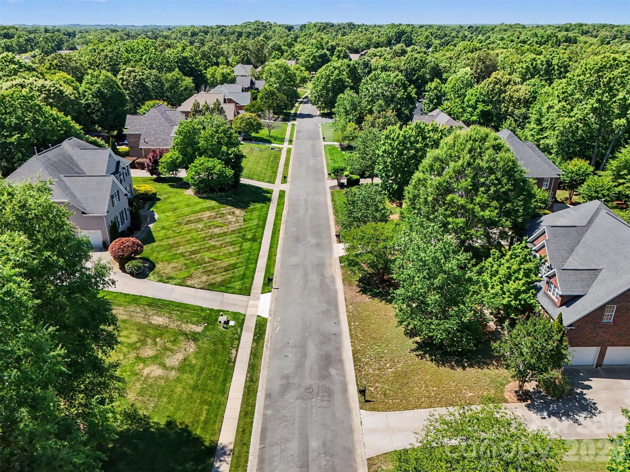 Champion Forest - Residential