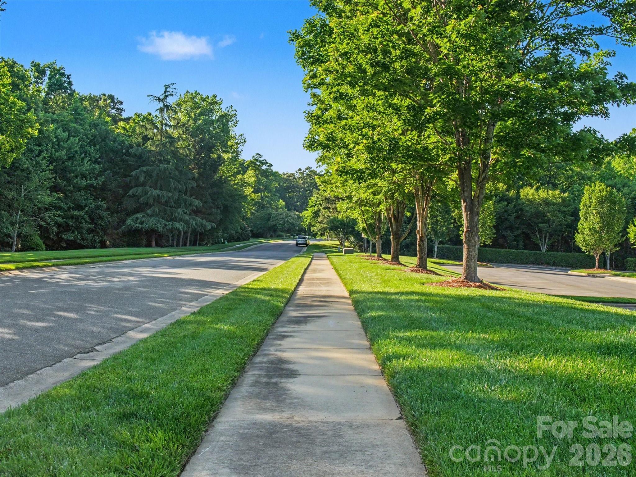 Champion Forest - Residential