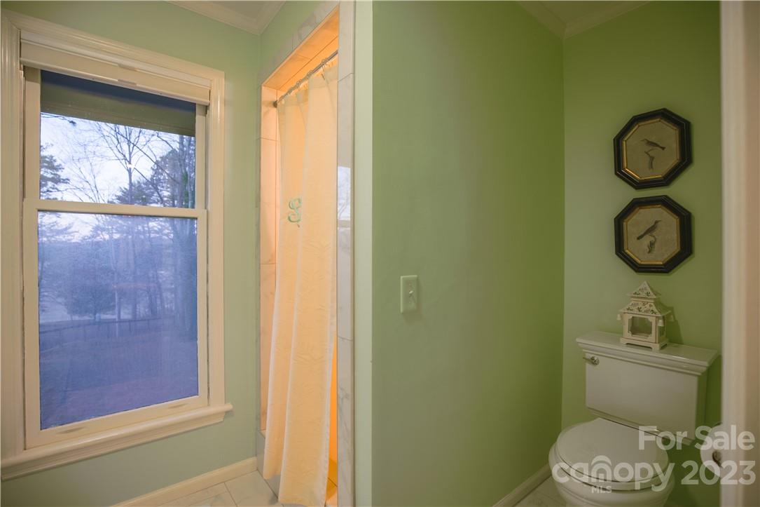 Red Fox - Residential