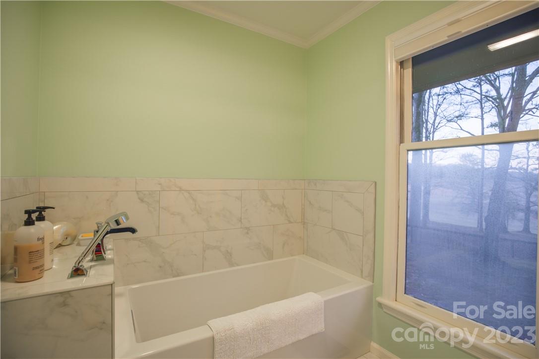 Red Fox - Residential