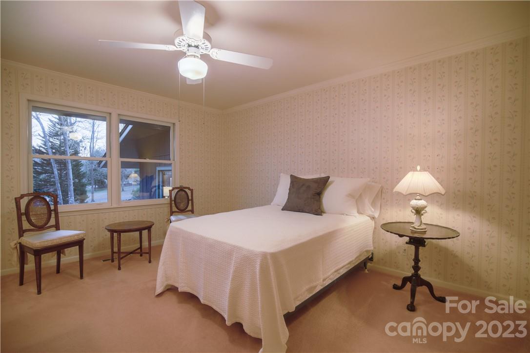 Red Fox - Residential