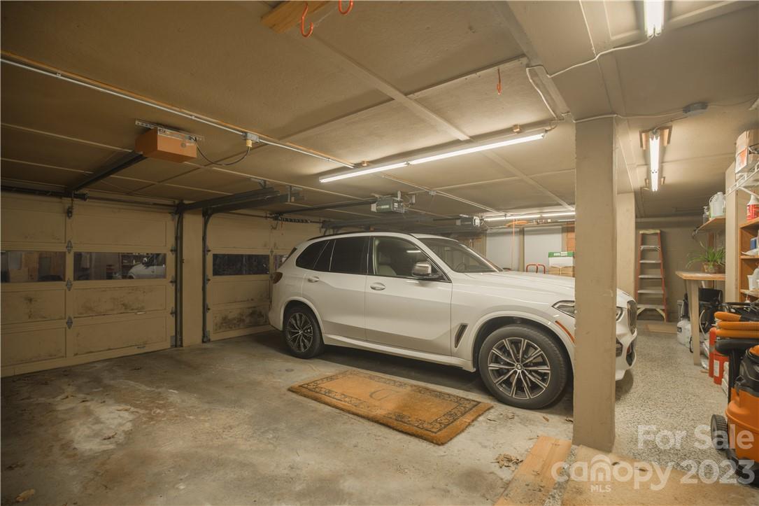 Red Fox - Residential