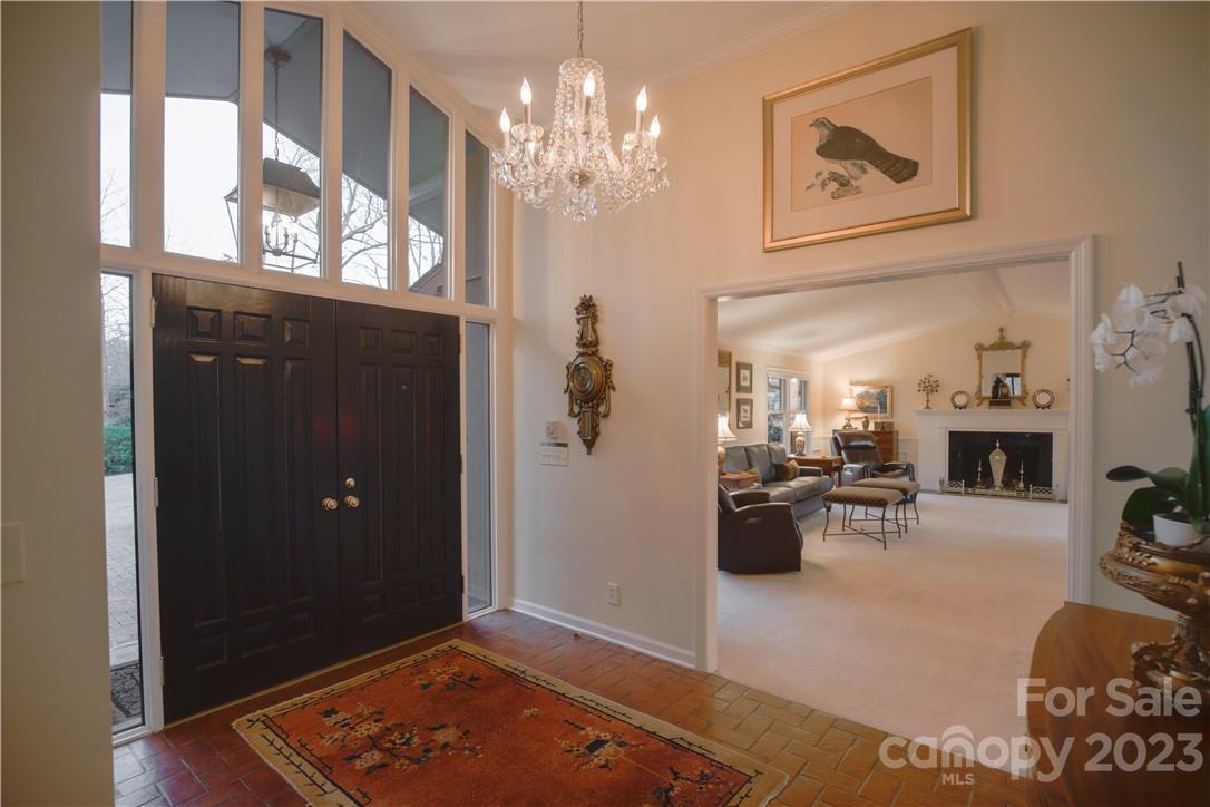 Red Fox - Residential