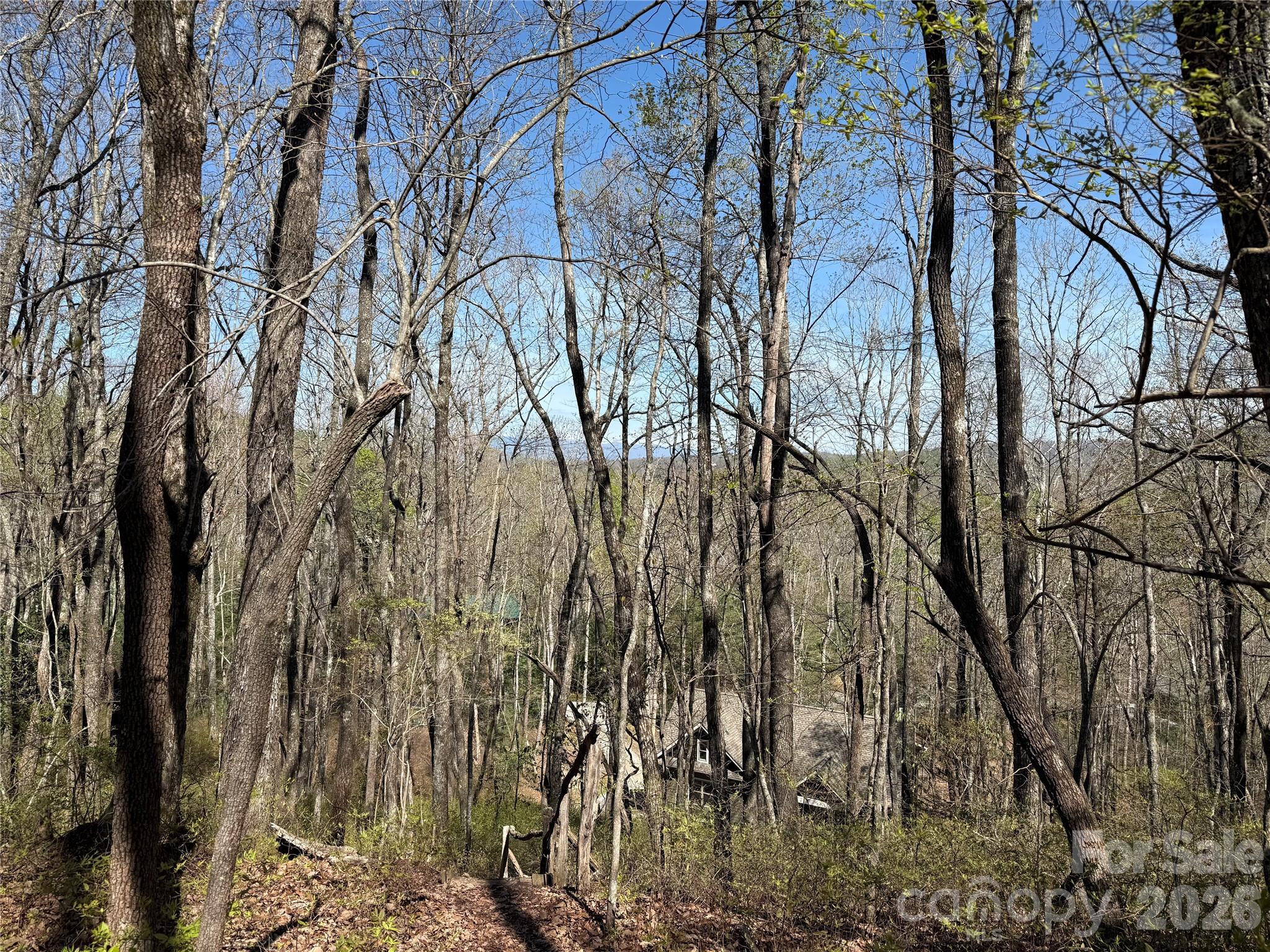 Sherwood Forest - Land