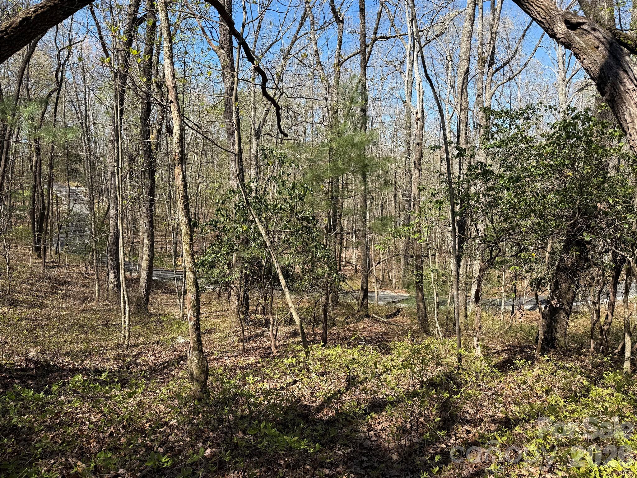 Sherwood Forest - Land