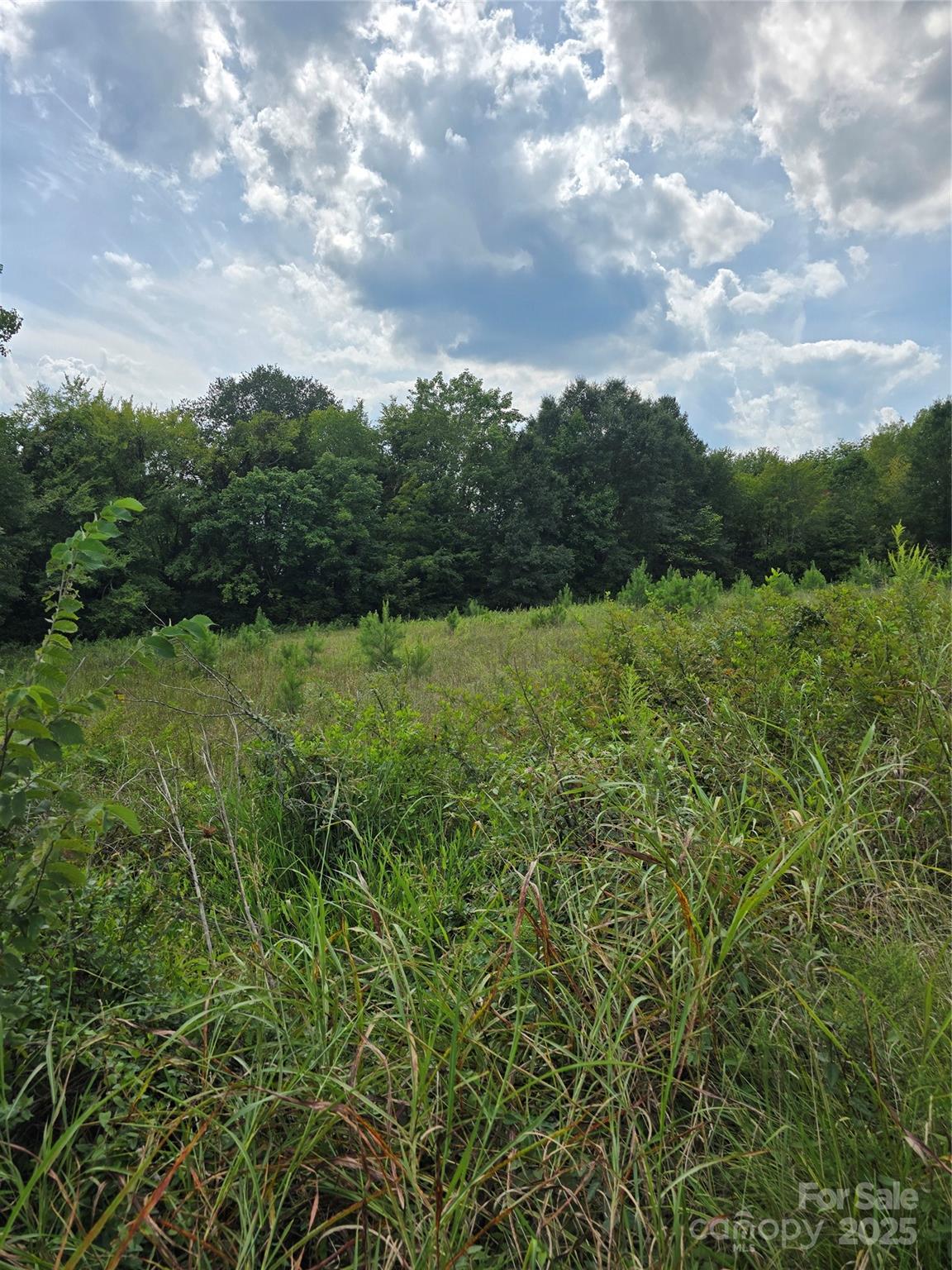 1768 Concord Lake Road