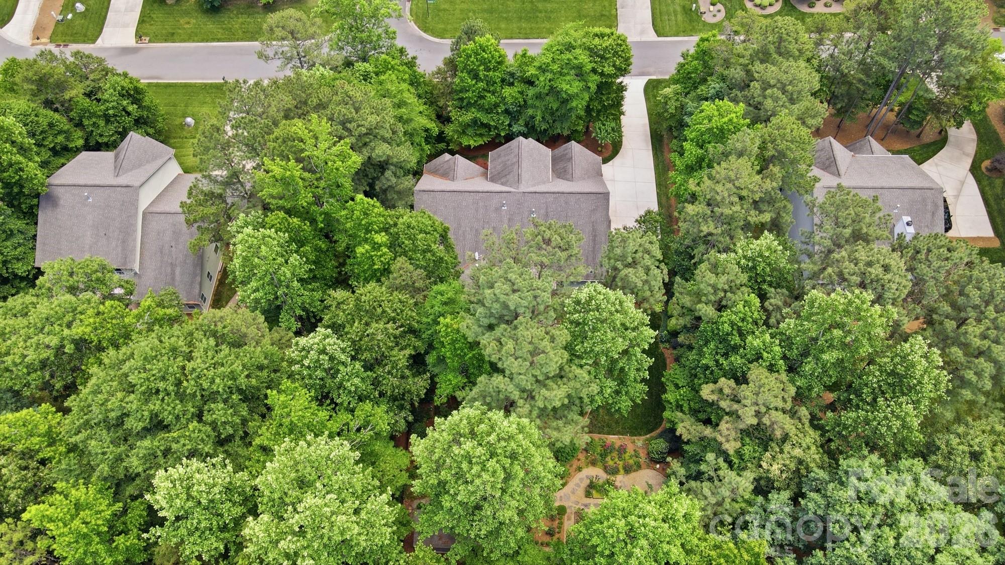 1533 Springfield Drive