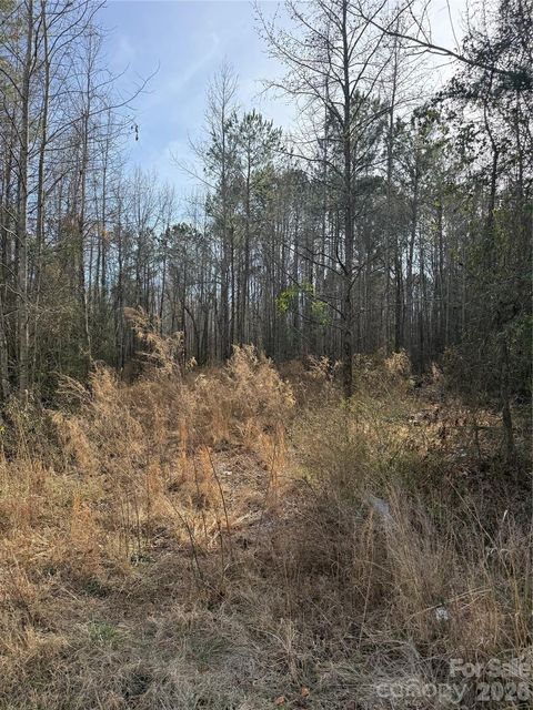 364 Longhorn Lane Cheraw SC 29520