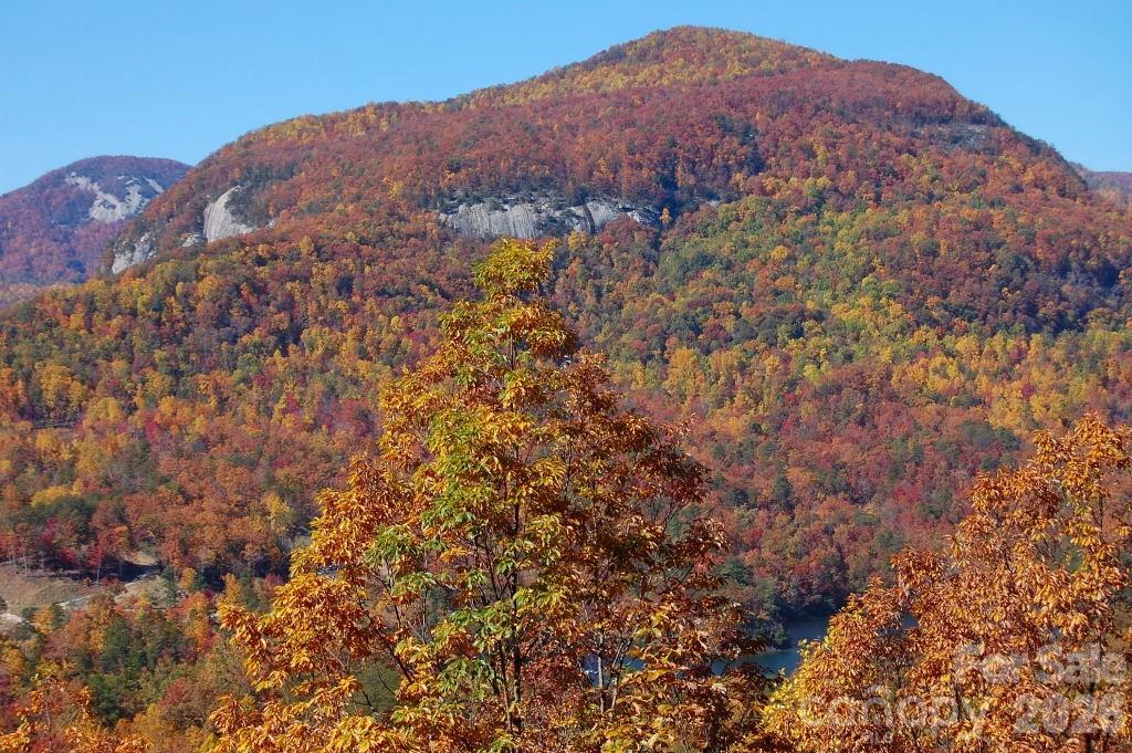 109 Overlook Point Lane