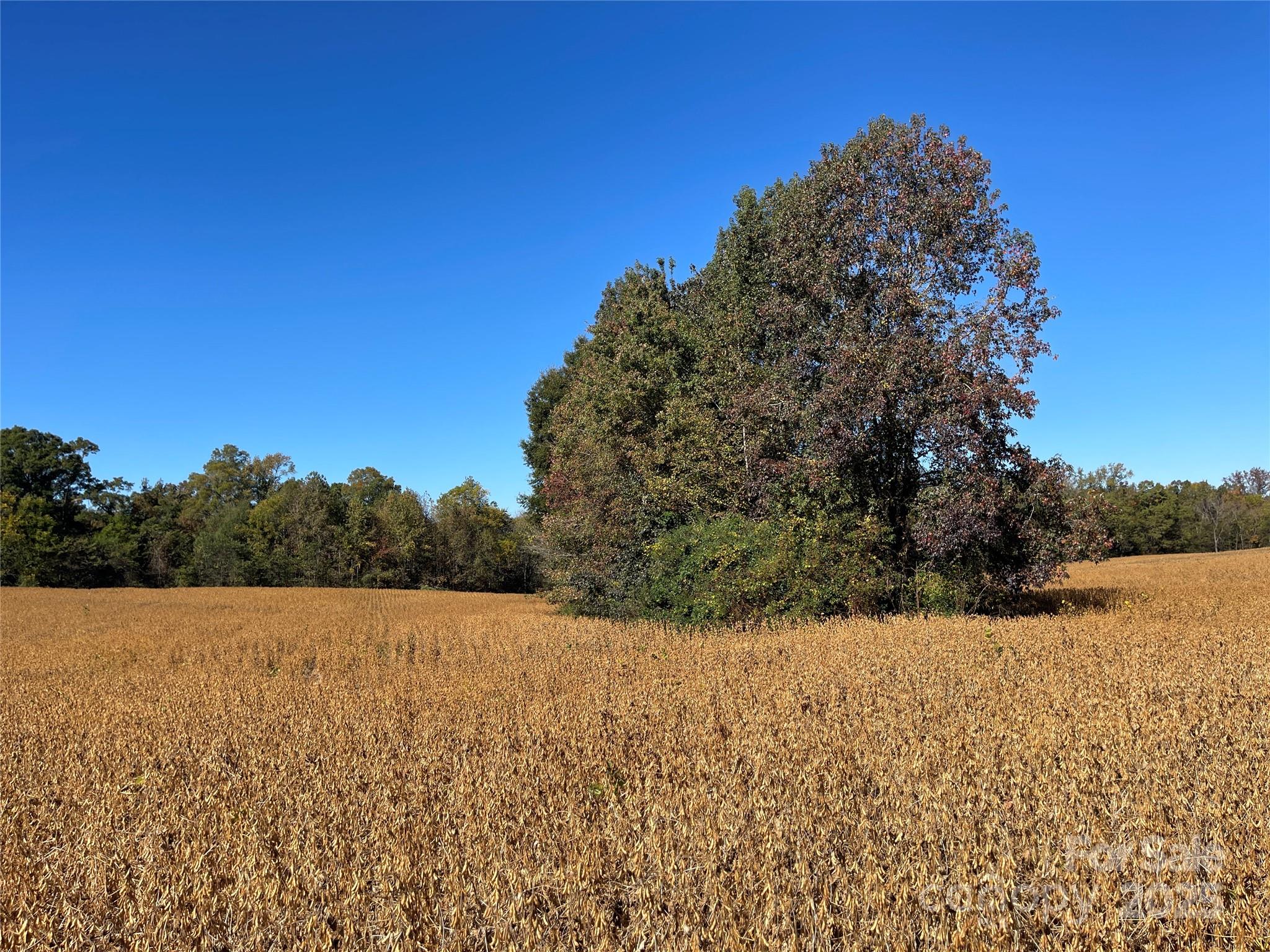 VAC Highway 52 S Highway