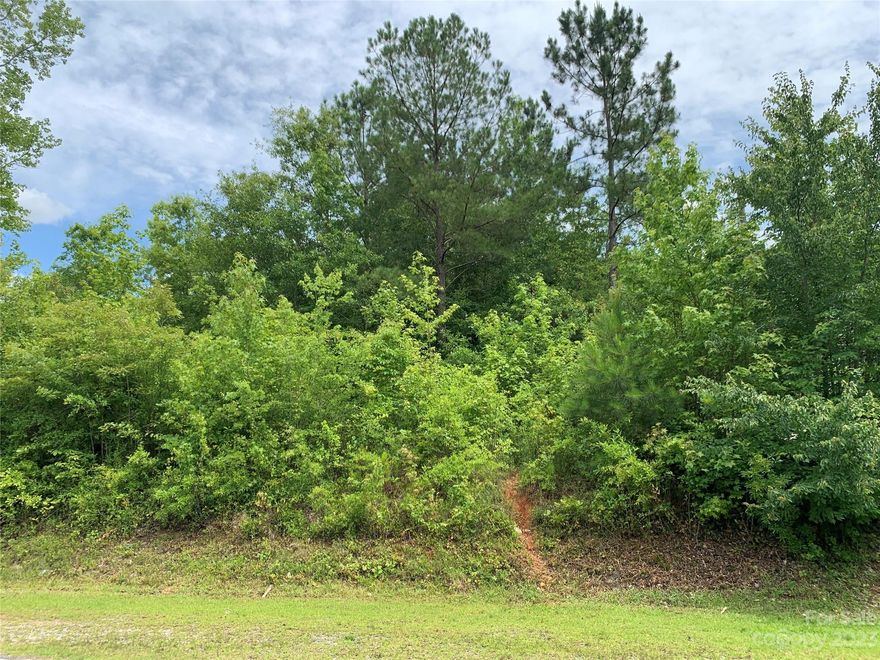 Looking for a piece of property to build your new home with easy access to I-77? Here it is....Great lot that is slightly over a half acre in an established neighborhood in Catawba. No HOA. Septic permit(from Feb 2018) for 3 bedrooms along with survey available. Lot is heavily wooded and slopes upward from the road. Listing agent related to seller.