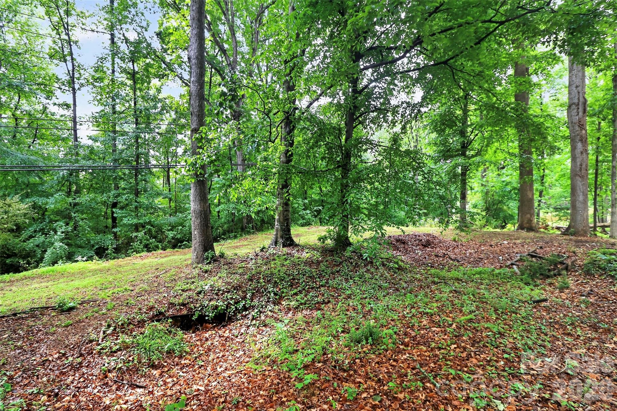 Forest Pawtuckett - Residential