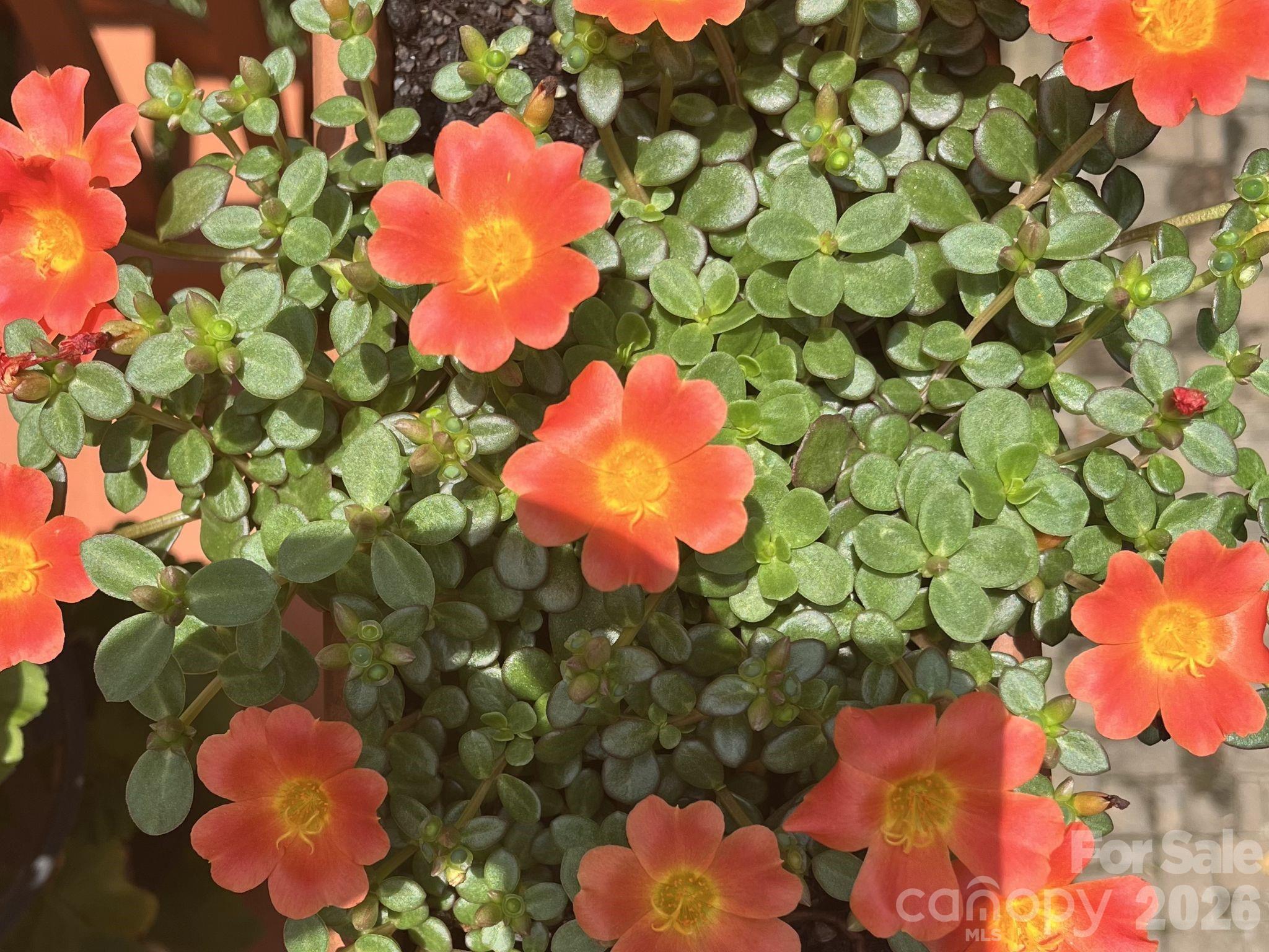 Highland Creek - Residential