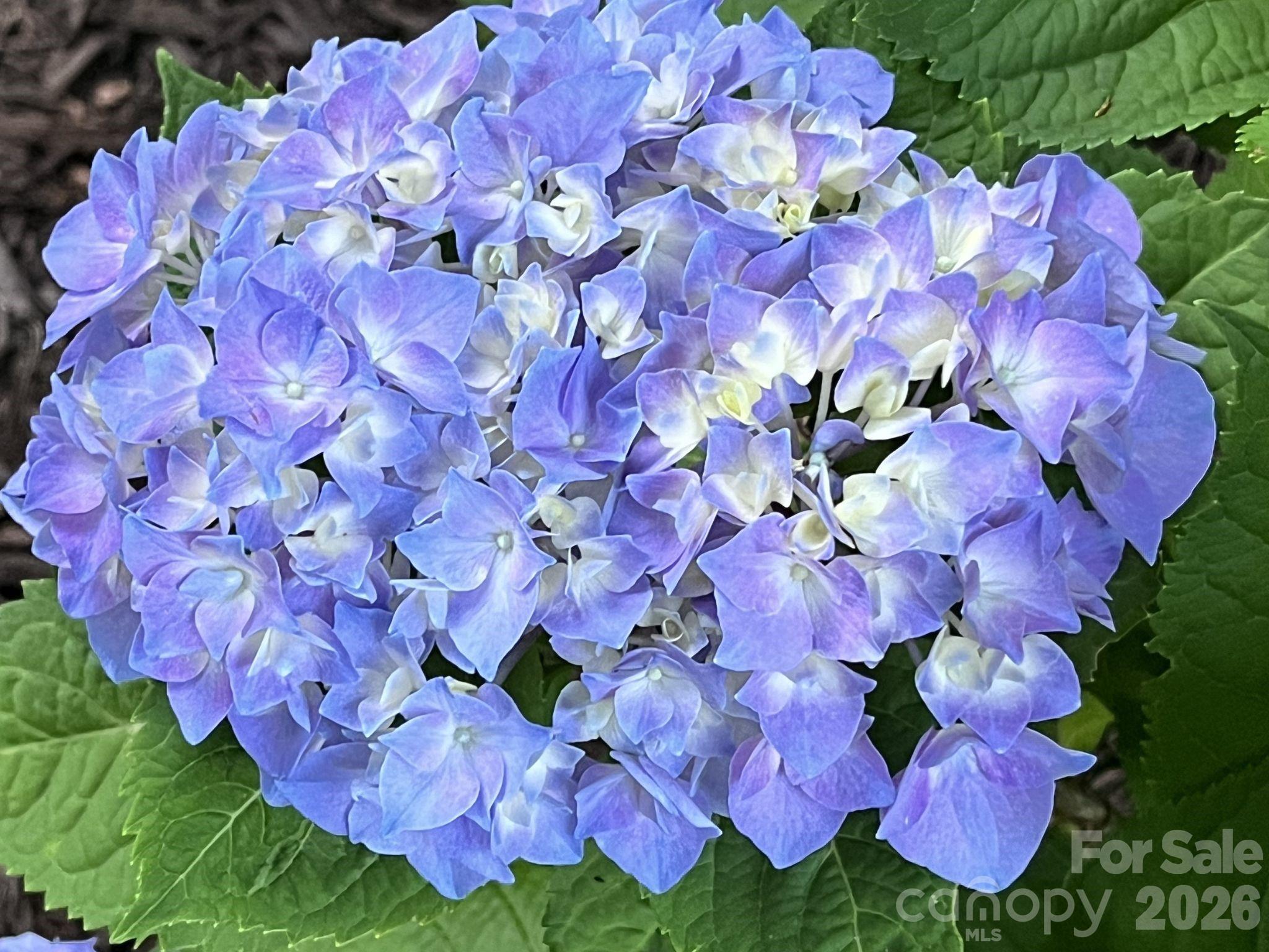 Highland Creek - Residential