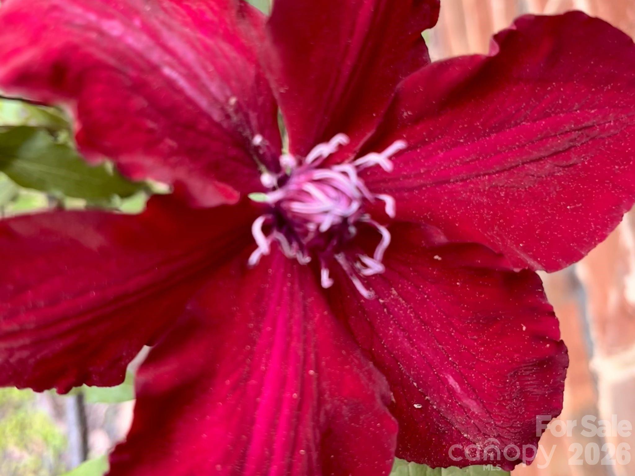 Highland Creek - Residential