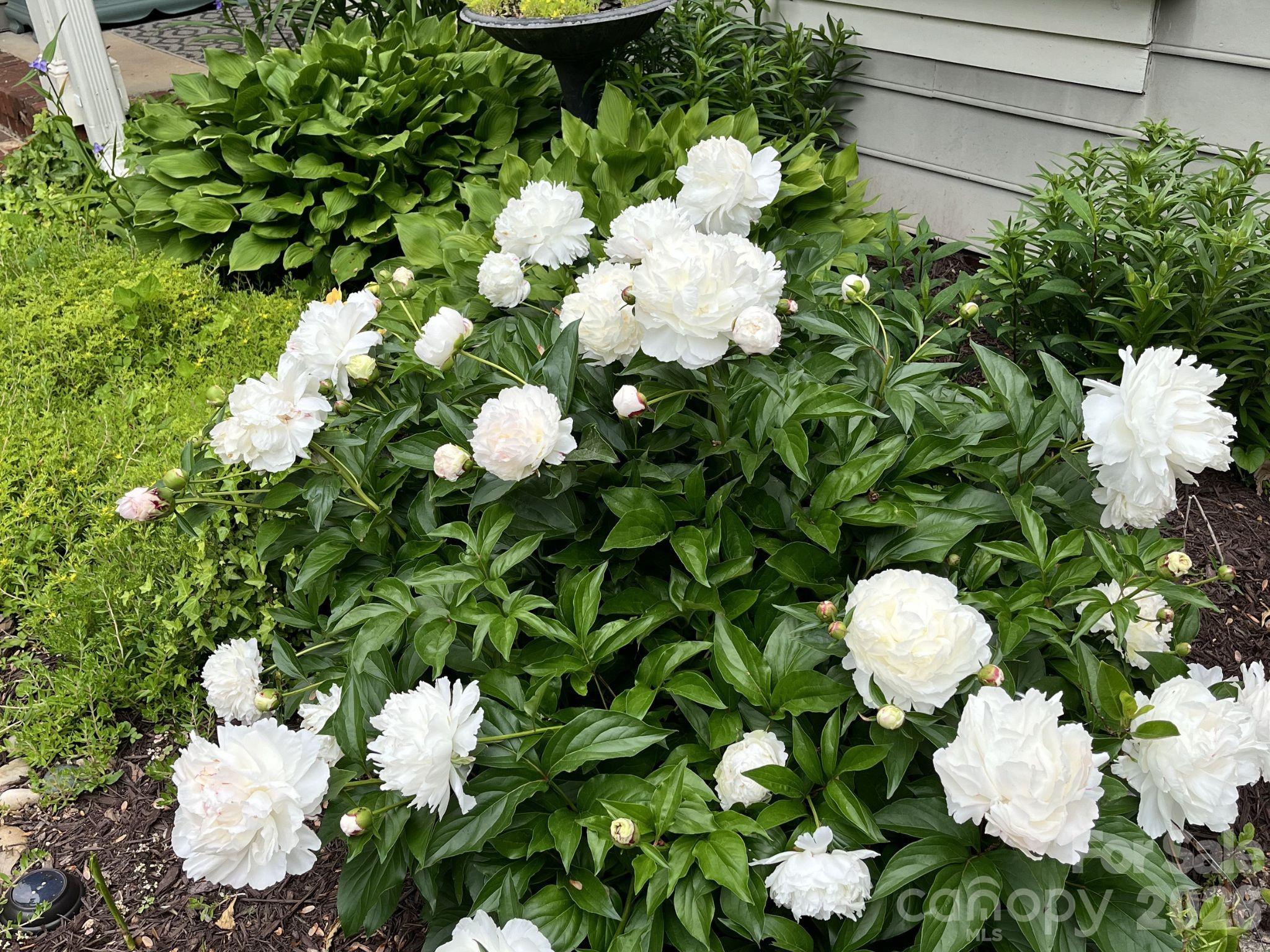 Highland Creek - Residential