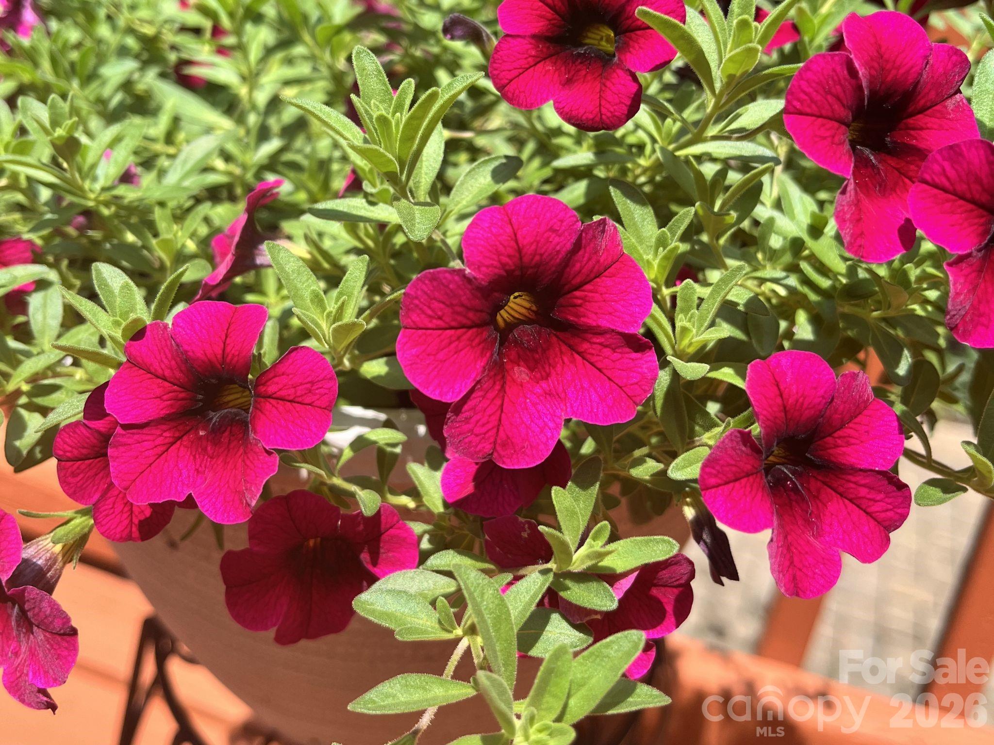 Highland Creek - Residential