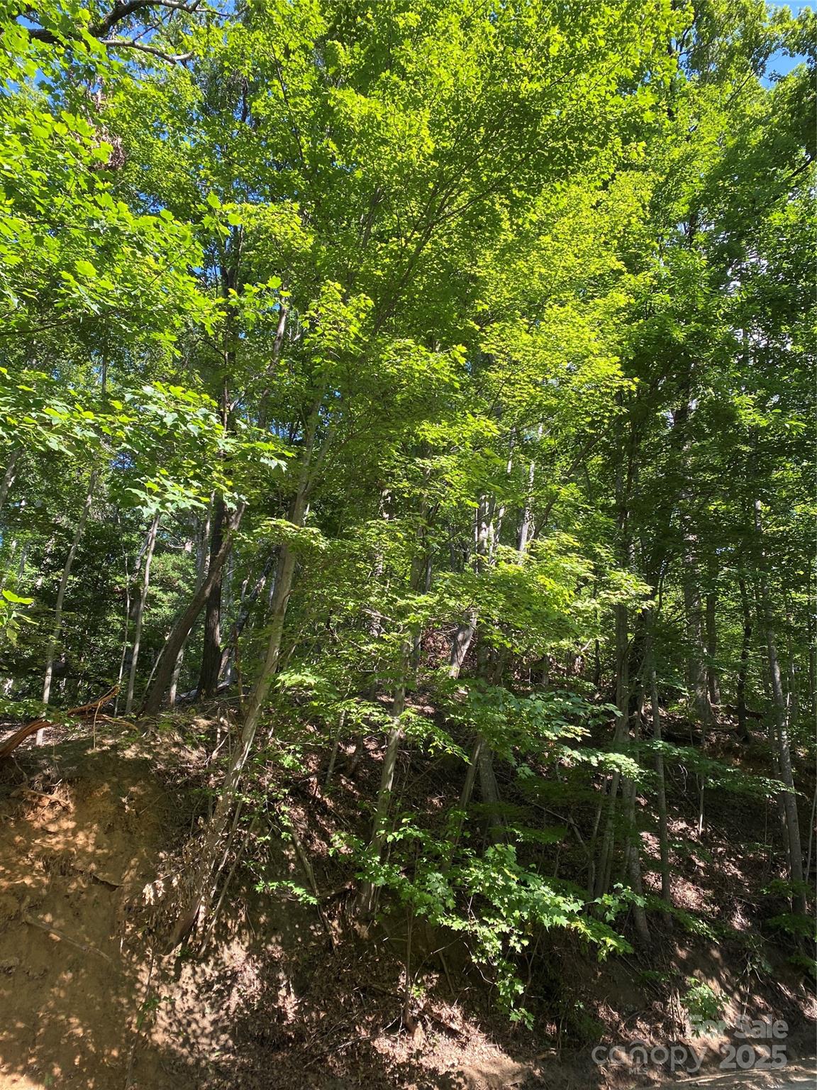 Riverbend HIGHLANDS - Land