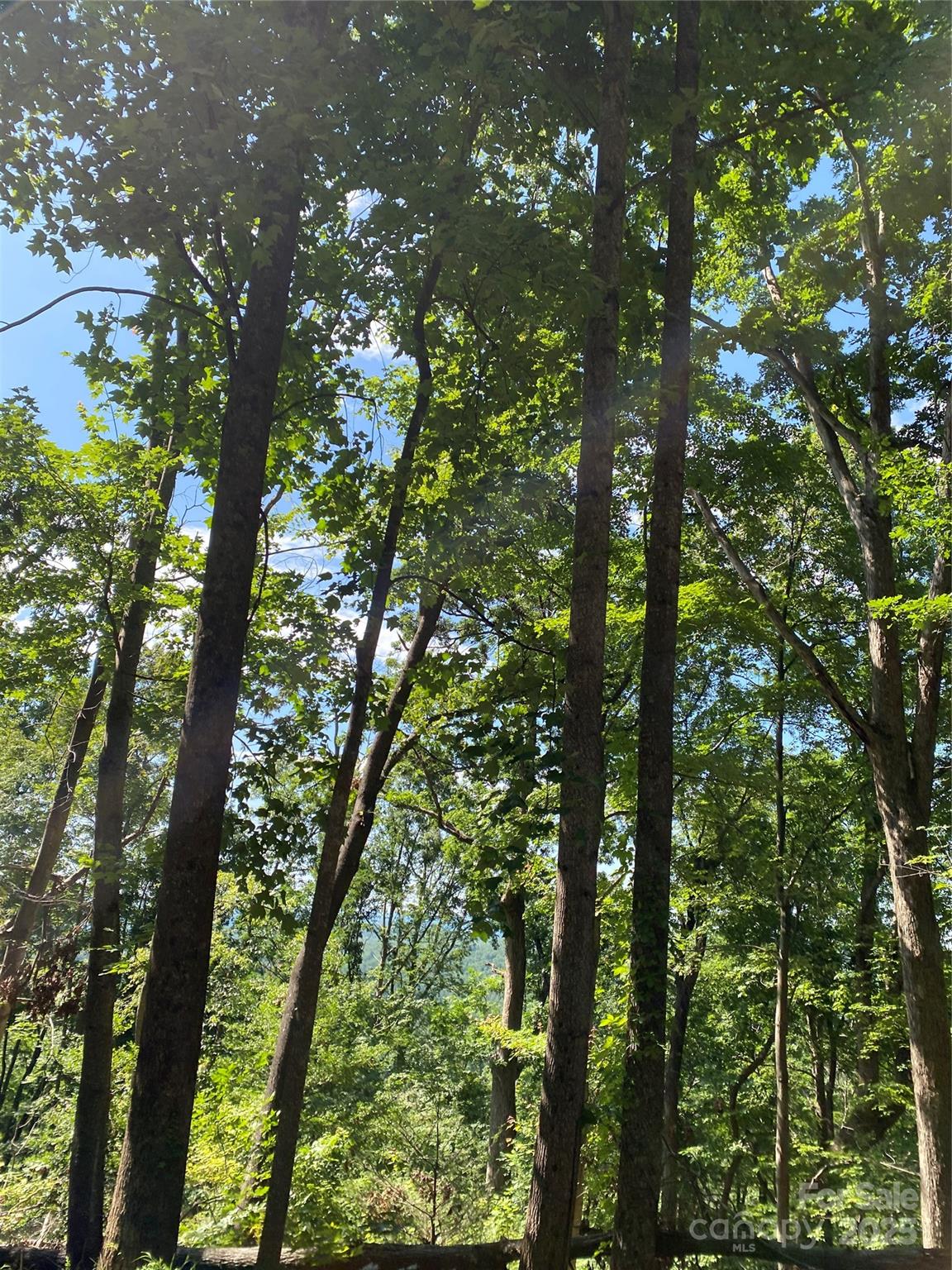 Riverbend HIGHLANDS - Land