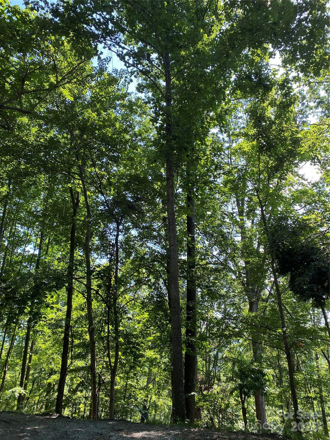 Riverbend HIGHLANDS - Land