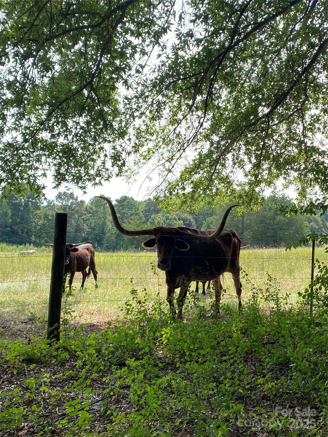 Riverbend HIGHLANDS - Land