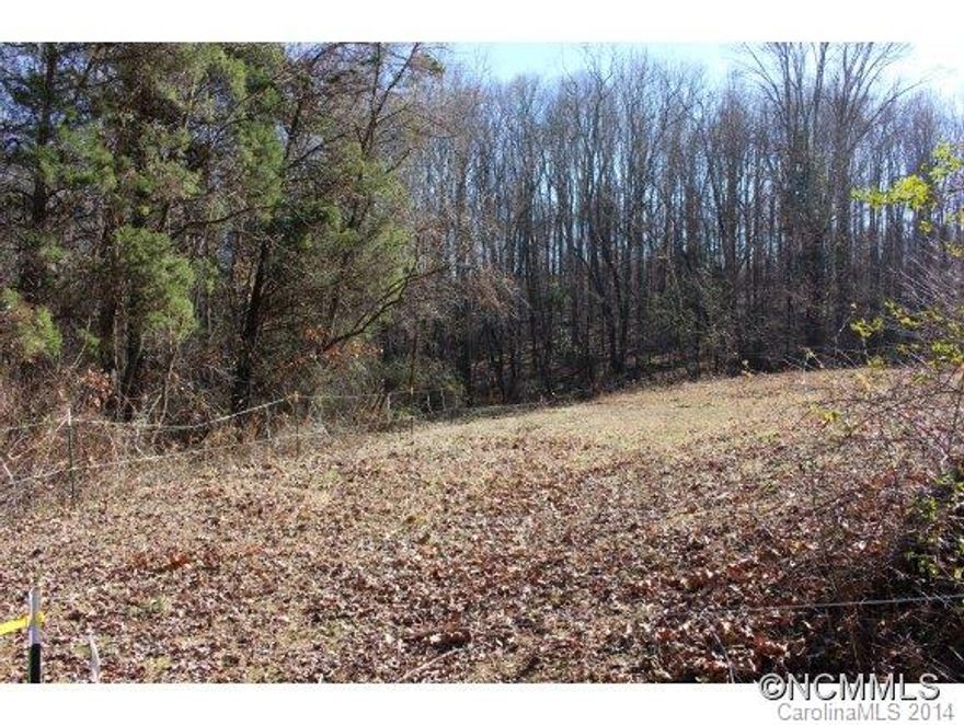 Vacant lot with site for house already graded.  City water available.  Land is currently used as a pasture. Adjoining properties on either side also available for sale. Right of way across one of those properties will be needed. One adjoining property is used for horse boarding and stables. Other adjoining property is wooded with mature trees. Small creek borders back of property.