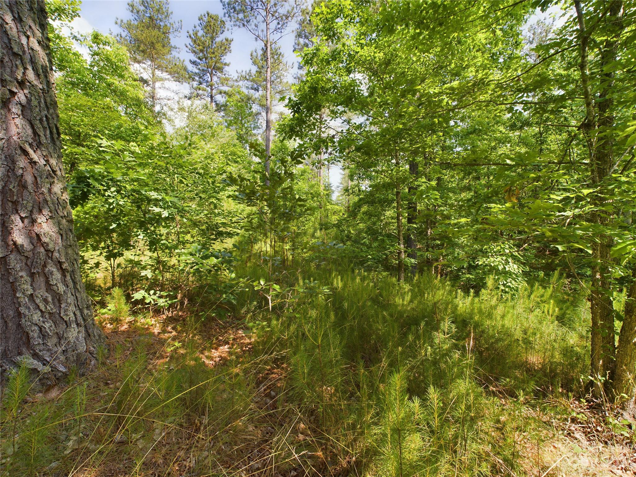 The Waterfront Club - Land