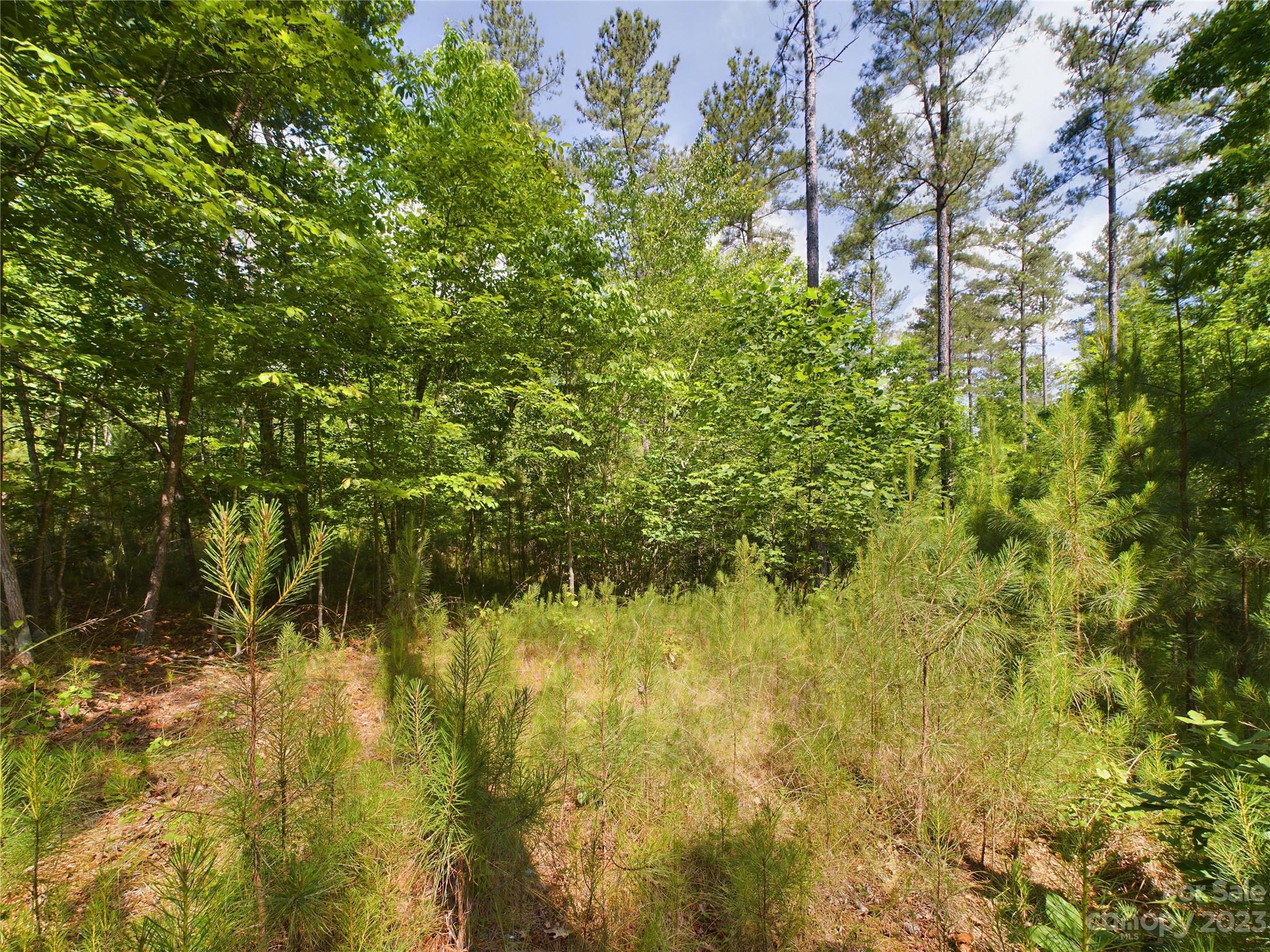 The Waterfront Club - Land