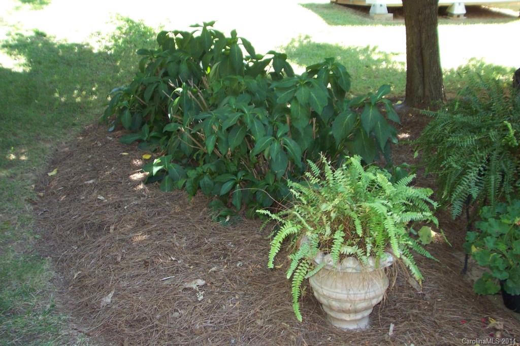 Whitegrove - Residential