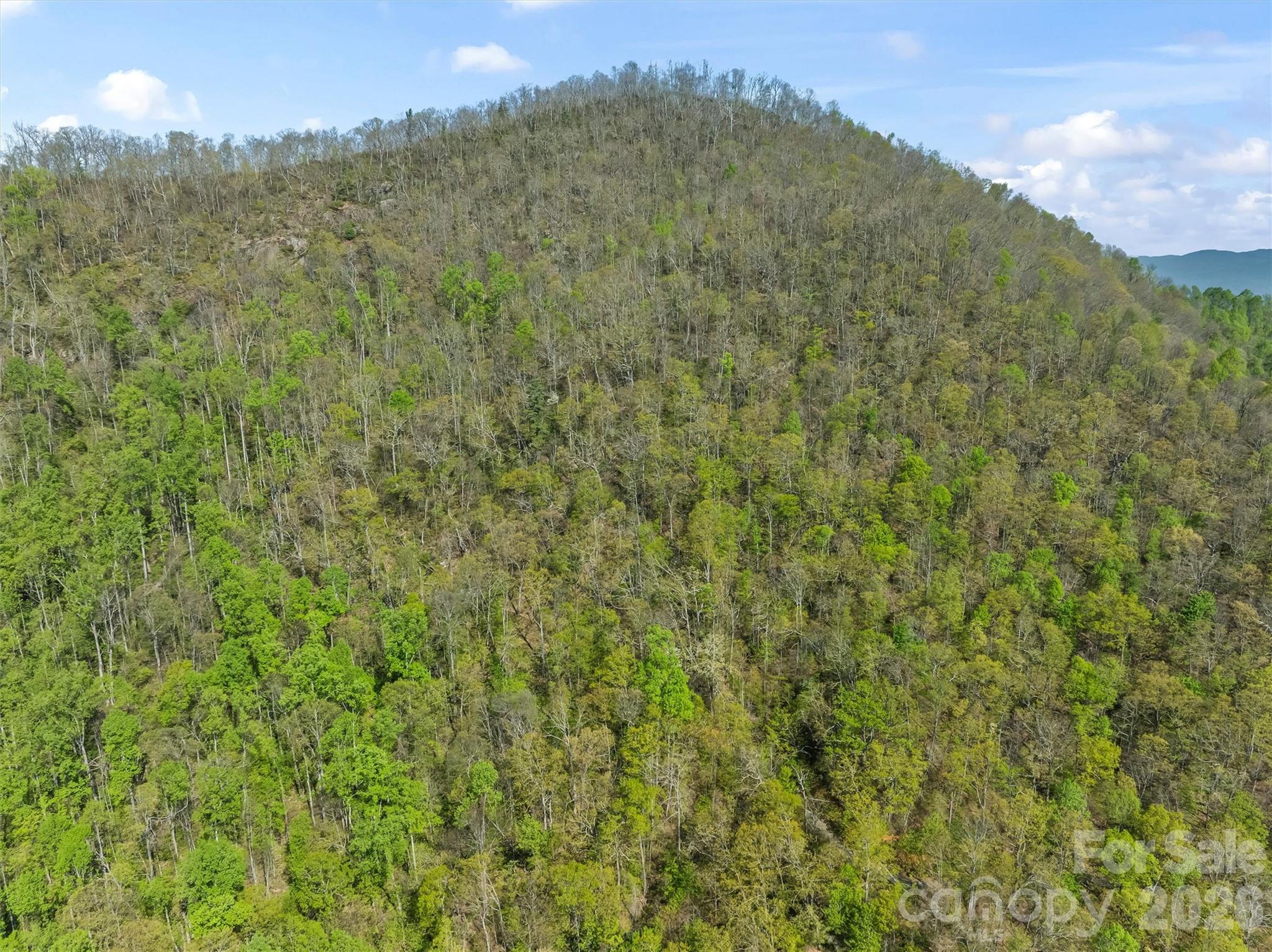 21 Reillys Bluff Road Unit 1, Barnardsville, NC, 28709