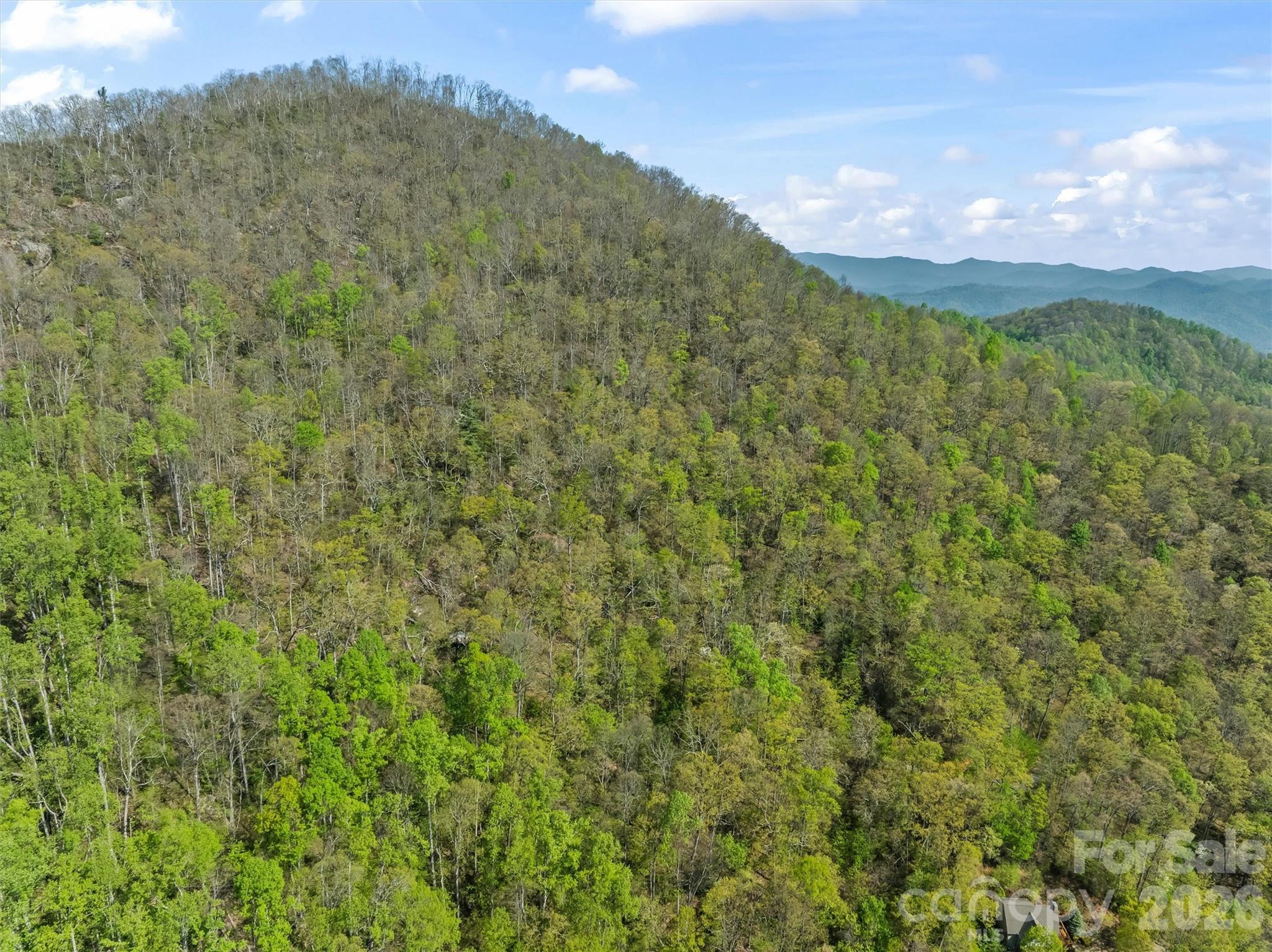 21 Reillys Bluff Road 1