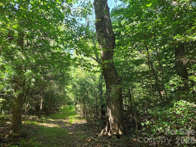 700 Nelson Lane, photo 4 of 47